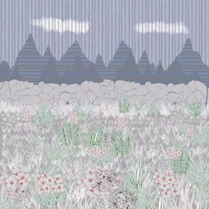 Mountain Meadows #48