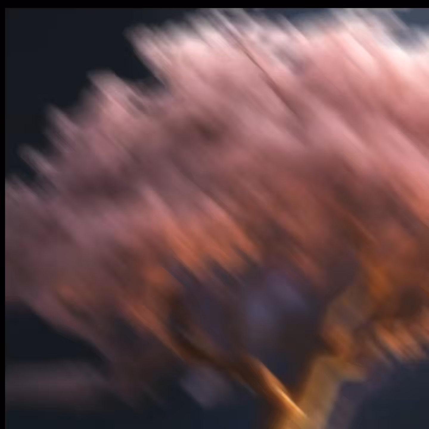 Magic Tree