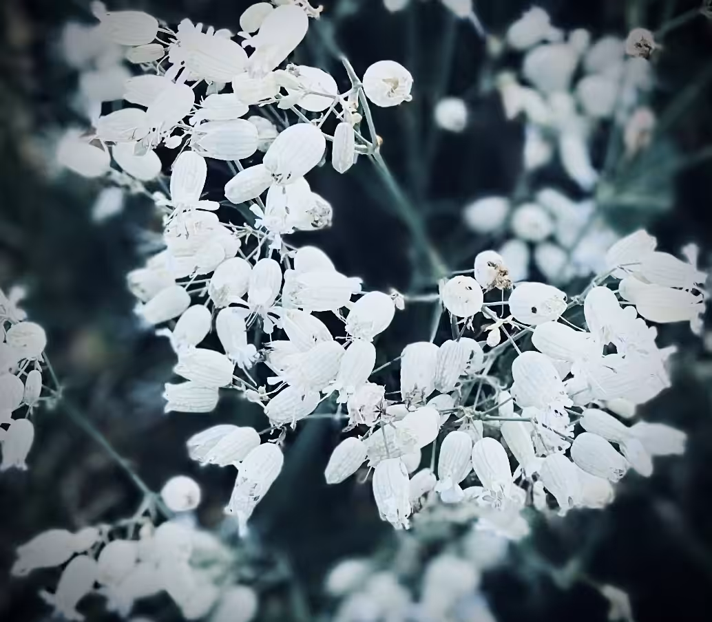 Luminescence