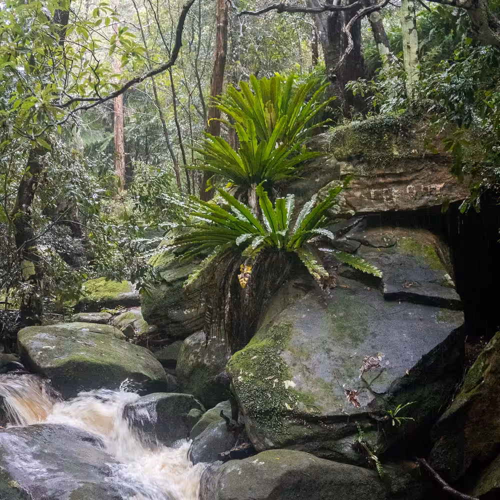 Home of the Water Dragon