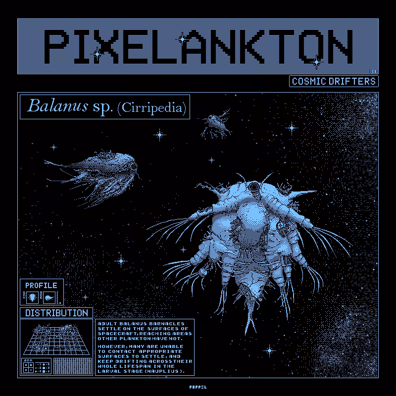 Pixelankton003 - Nauplius Larva of Balanus Barnacle