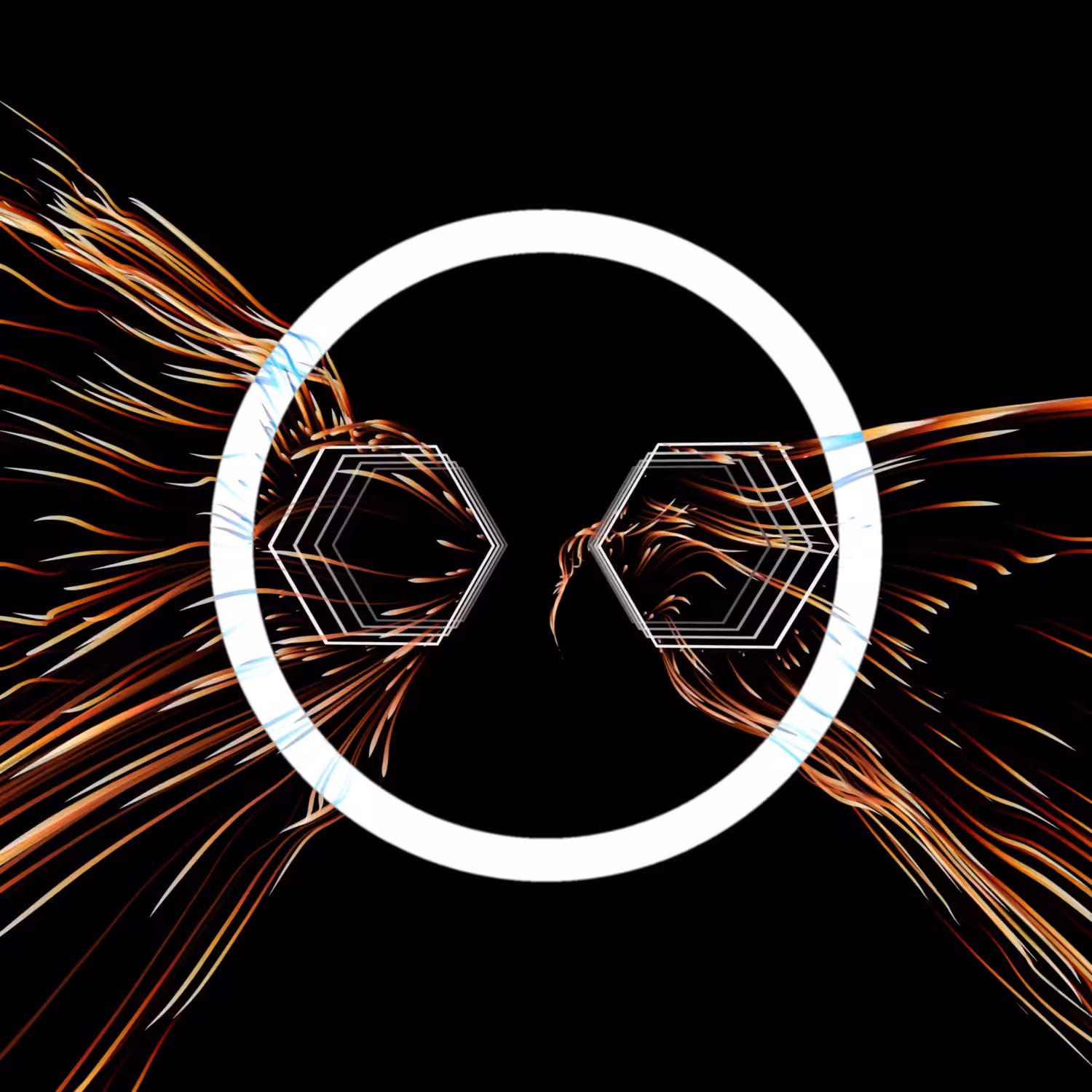 Vortex #1144