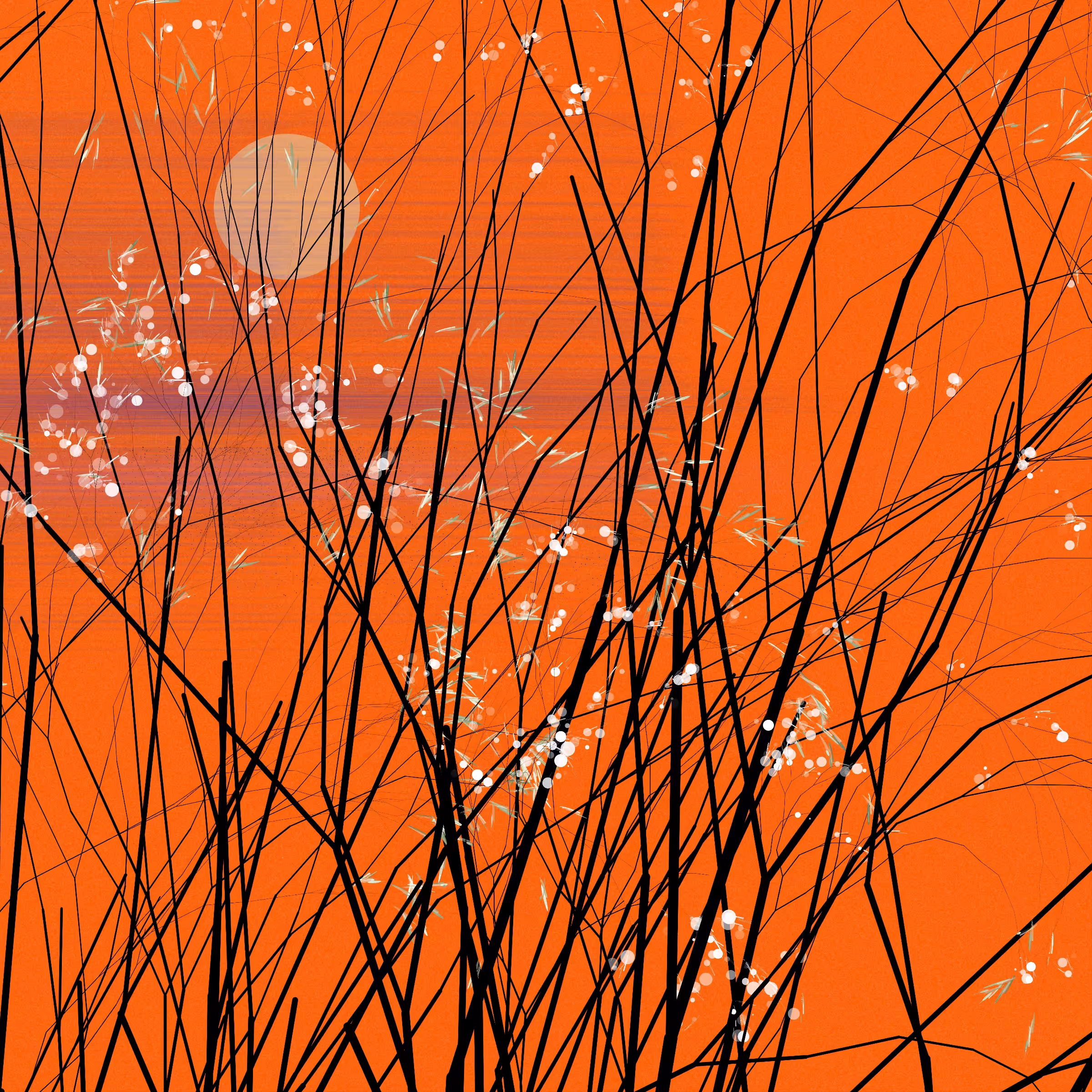 conversation with the wind #902