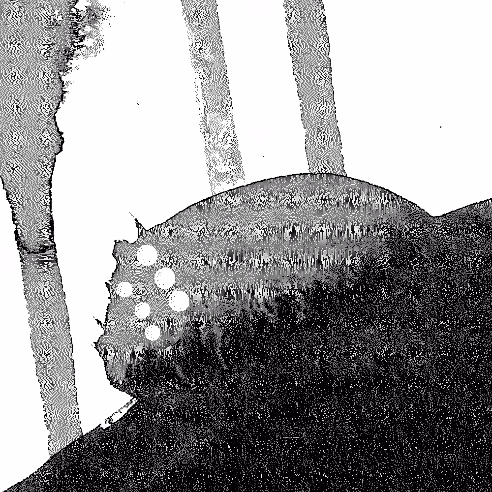 The Last Omu