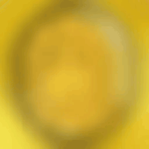 Murakami.Flowers Coin: Reveal in Progress