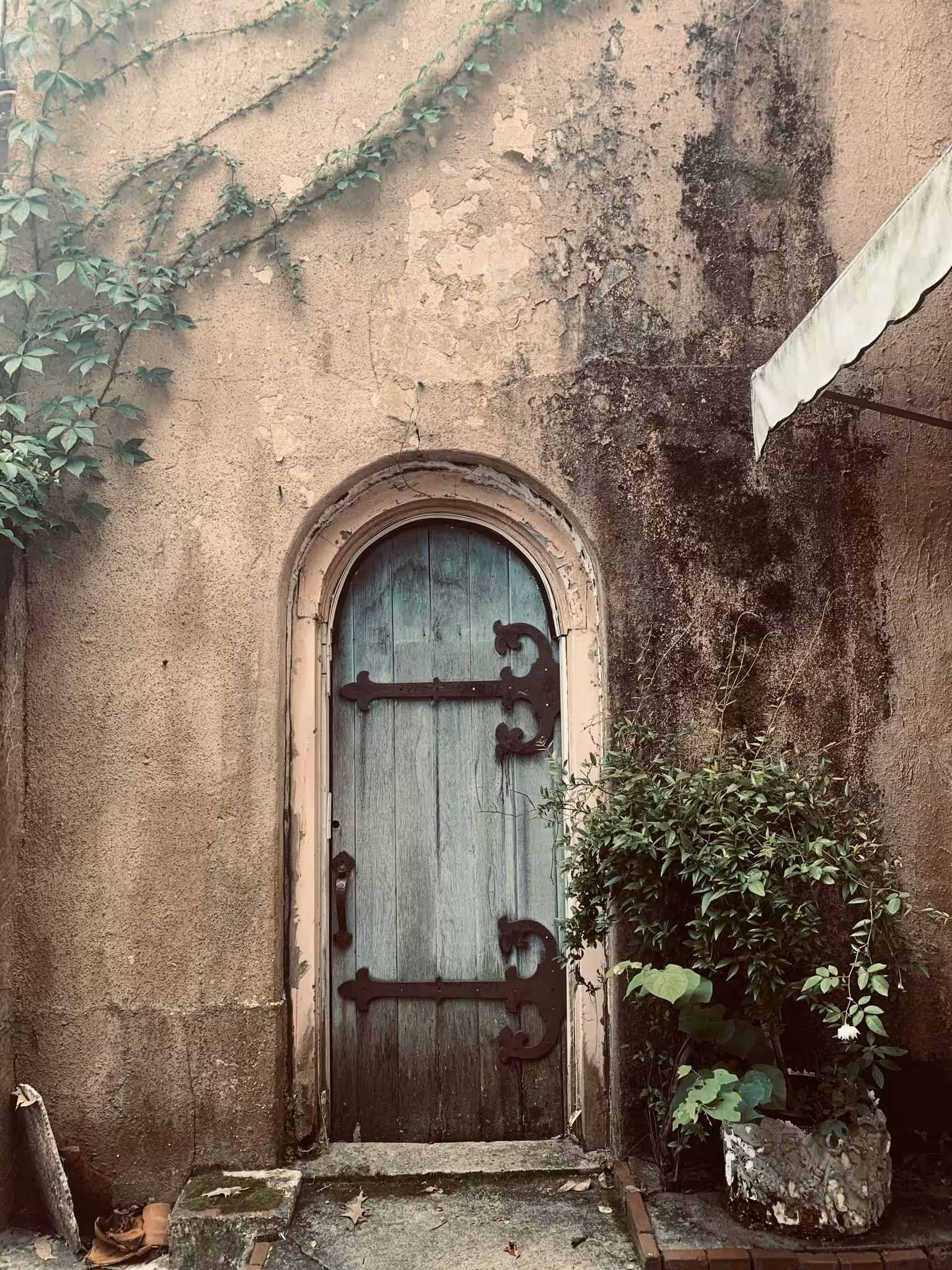 The Pink House: Faery Door