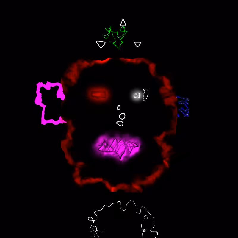 Distortion #24