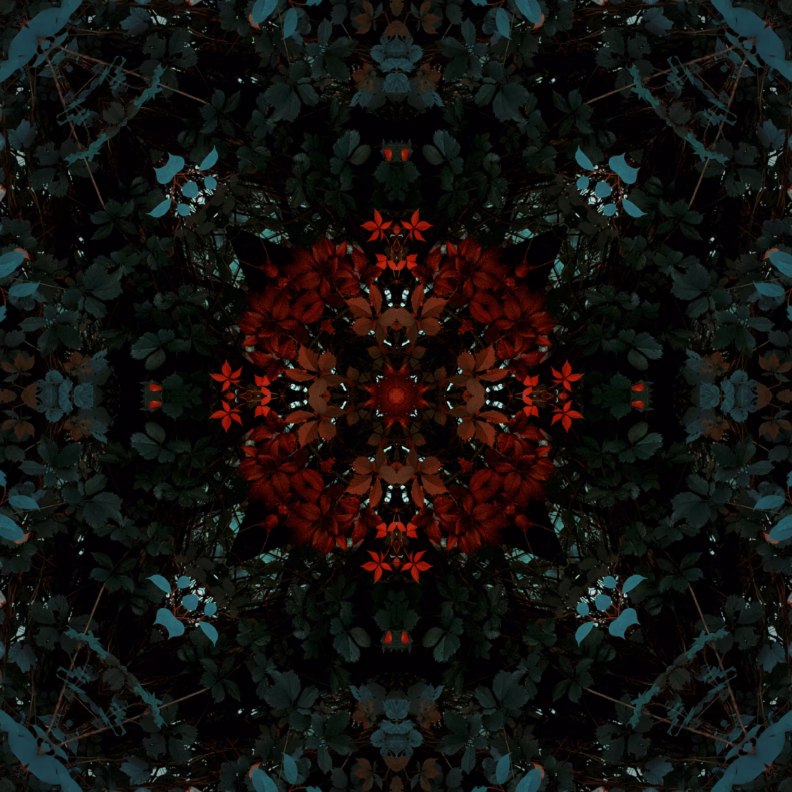 #8 RED LEAVES
