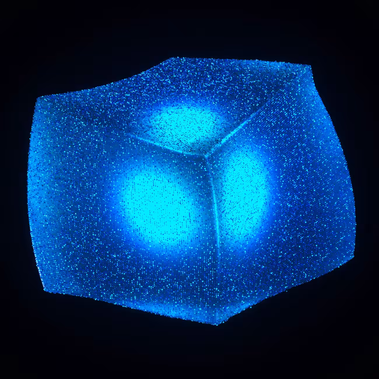 #231