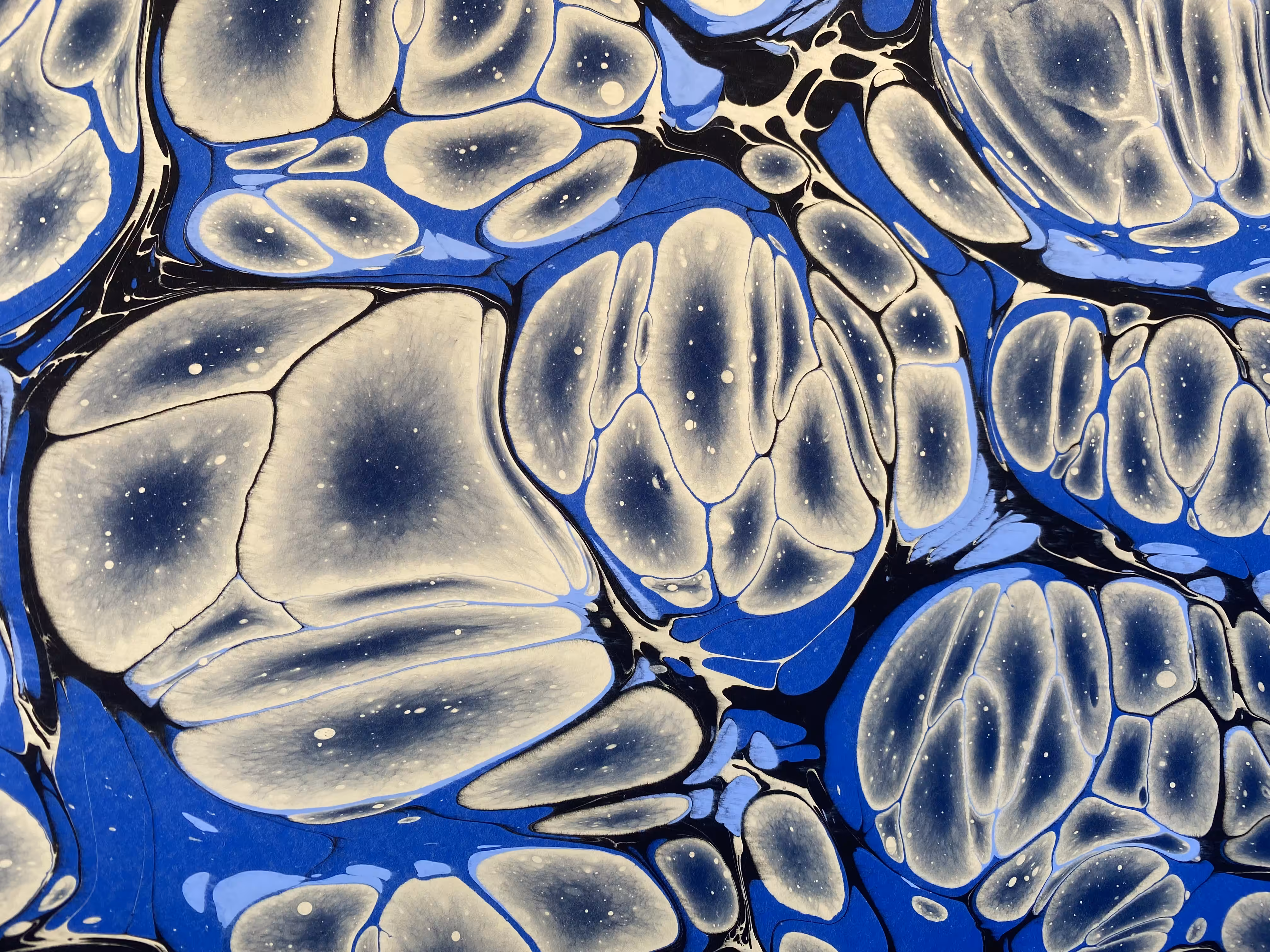 Battal Ebrû / Marbling Art SE #13