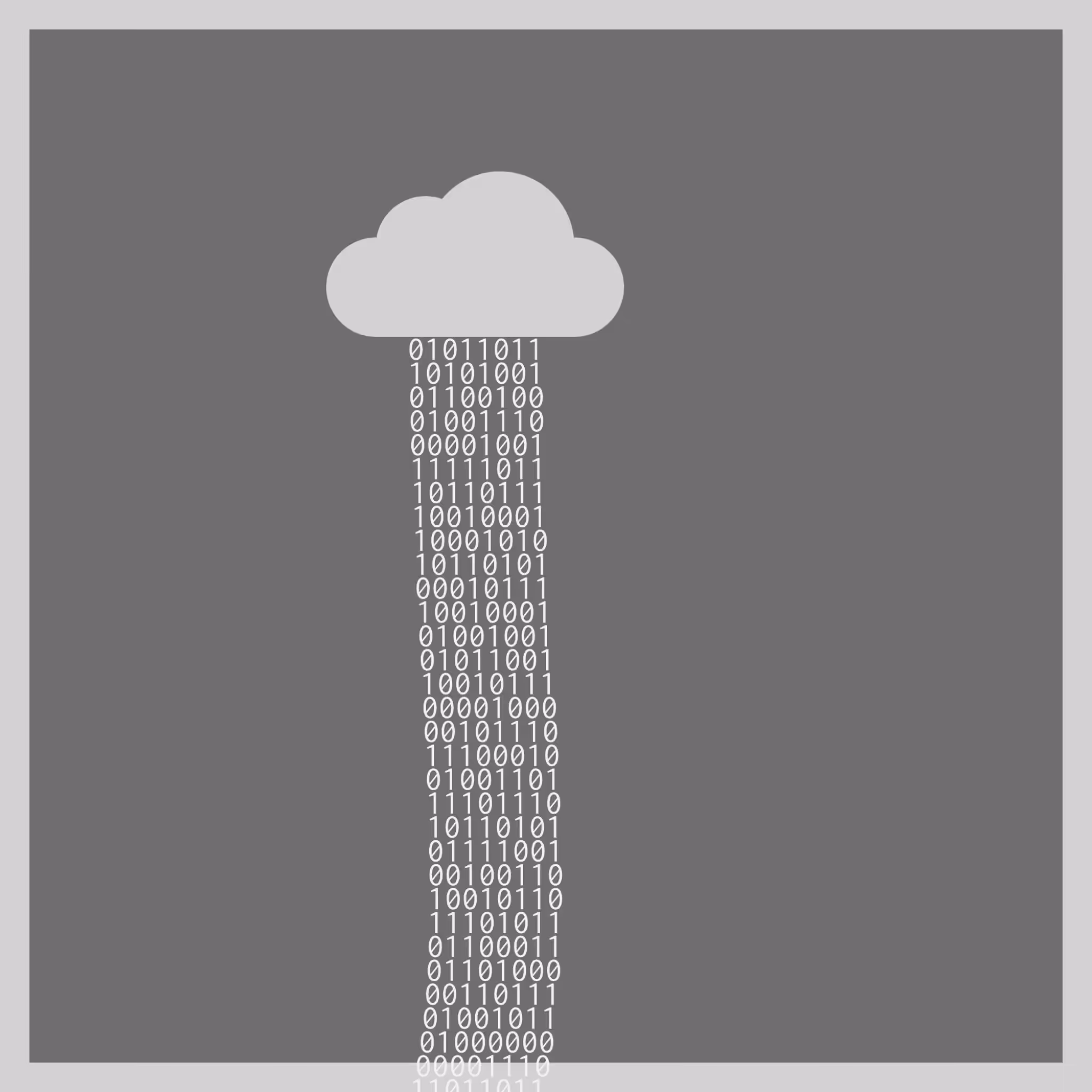 bit rain #26