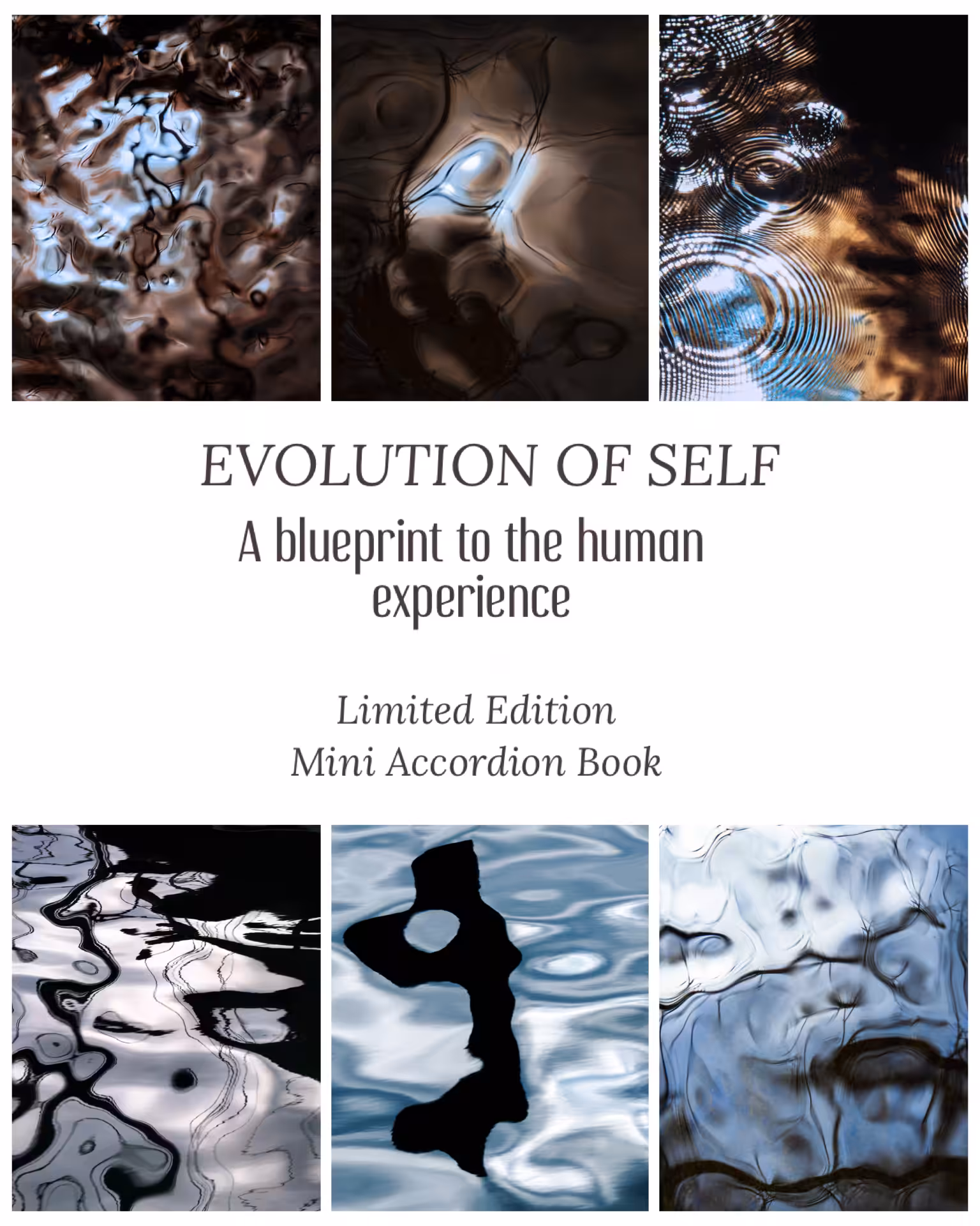 Evolution of Self - Mini Accordion Book