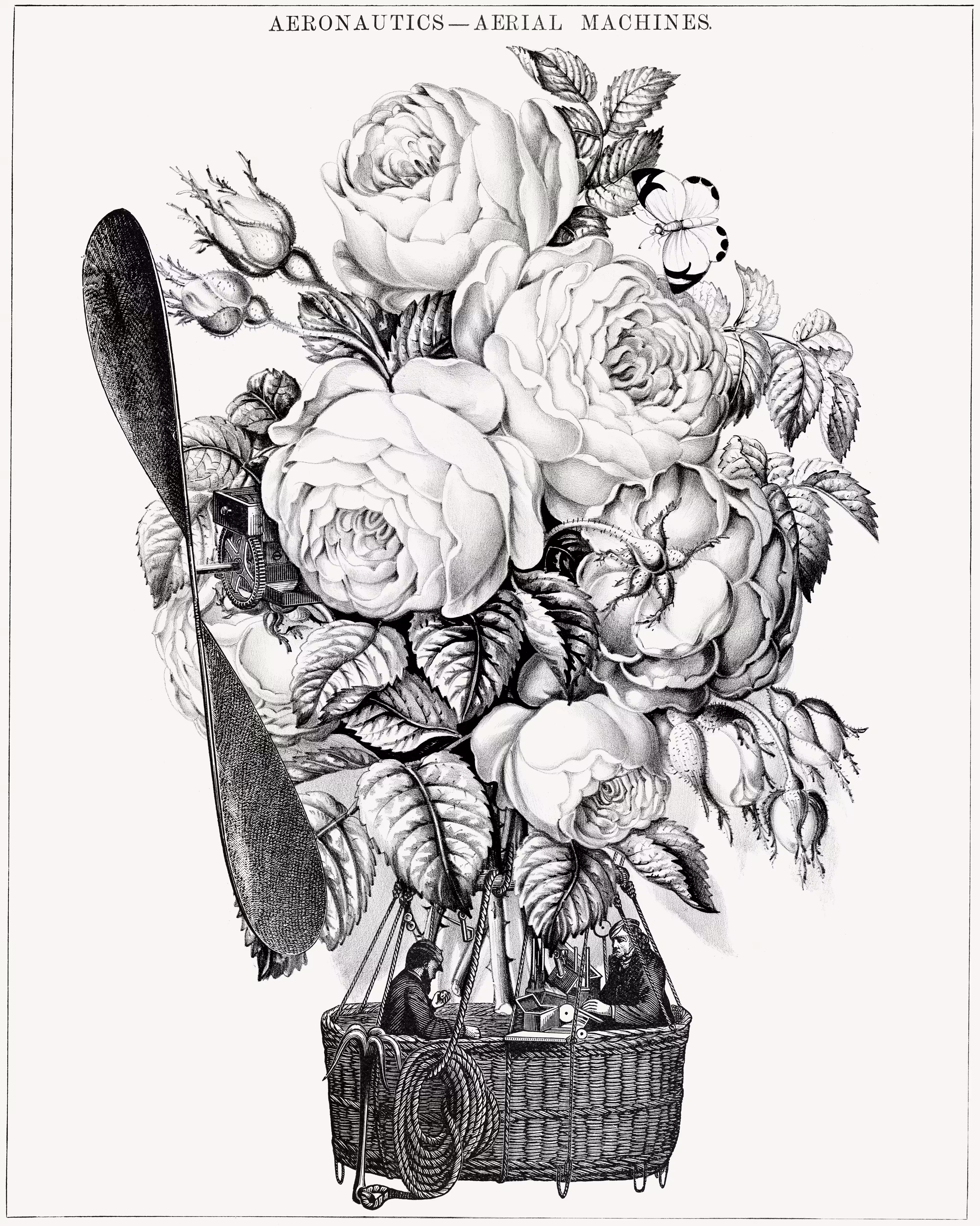 Brra, ta, ta, tat: Tales of the Flying Flower