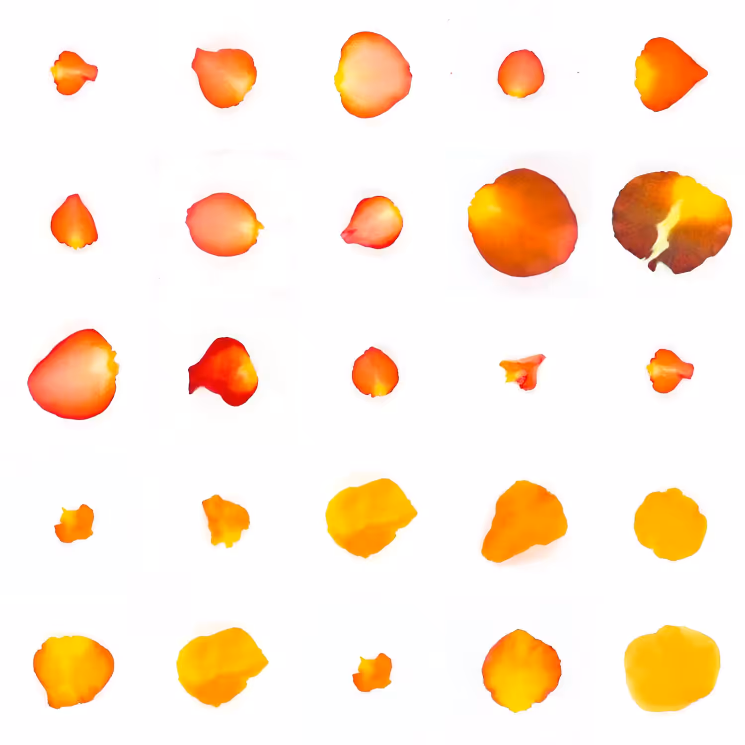 Infinite Petals 5x5#20841
