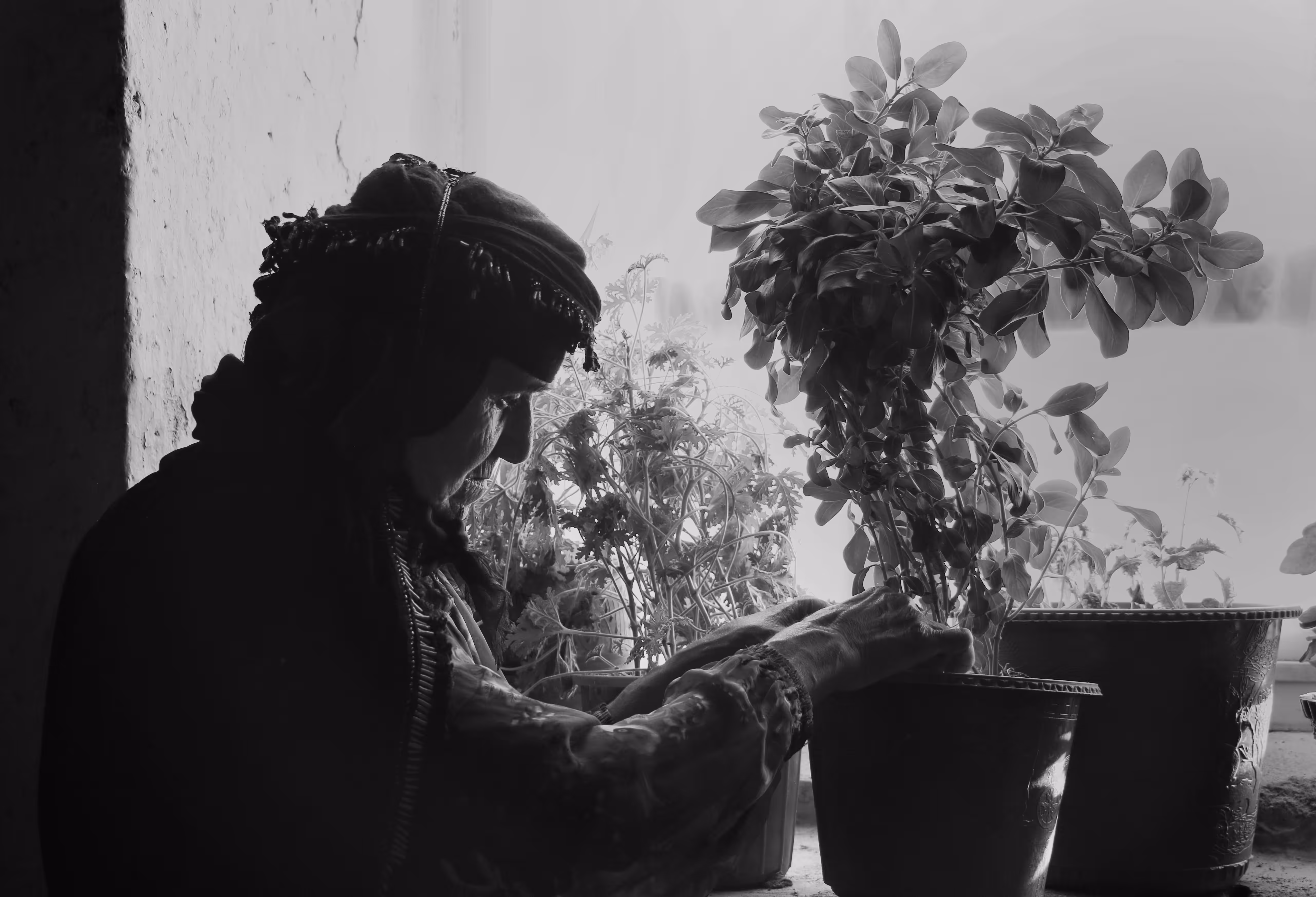 Flowers and grandmother