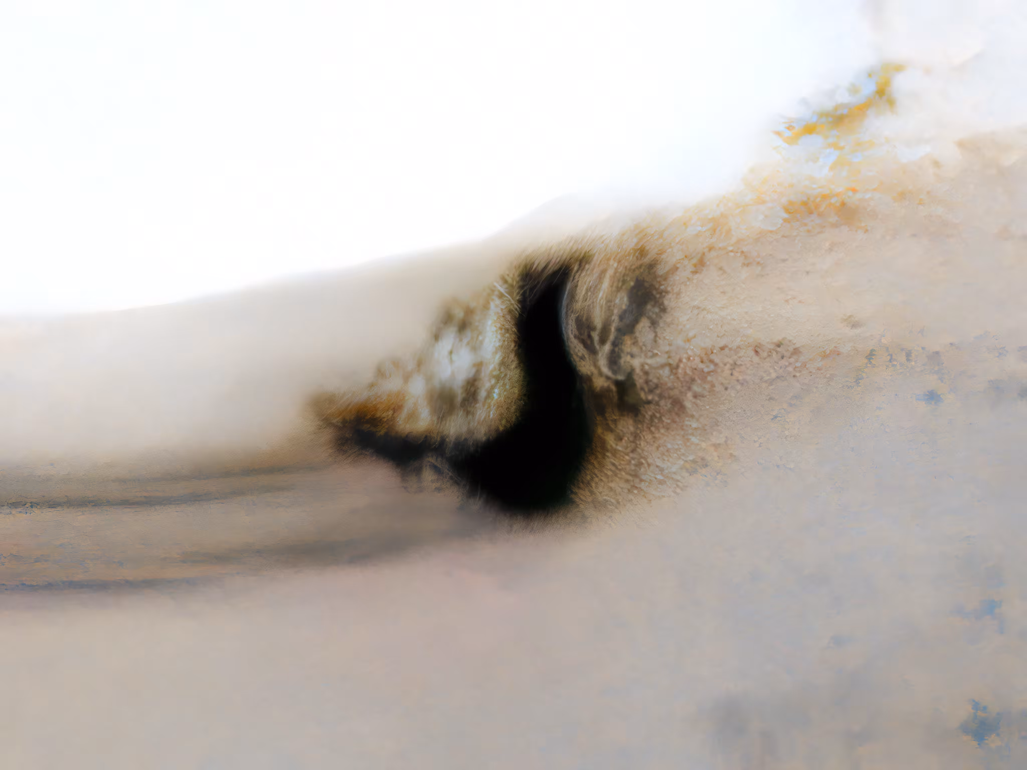 Super Image Series #021