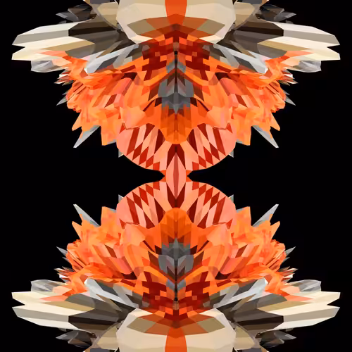 GRAVIZ#19 [[[RARE]]]