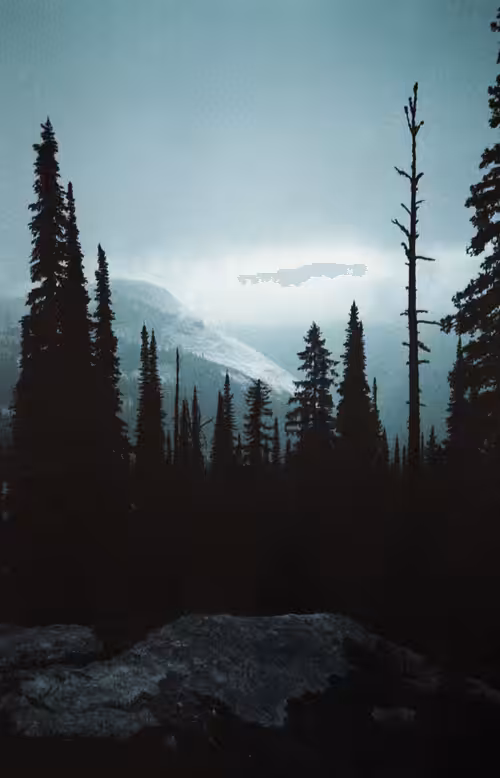 Darkness with a view..