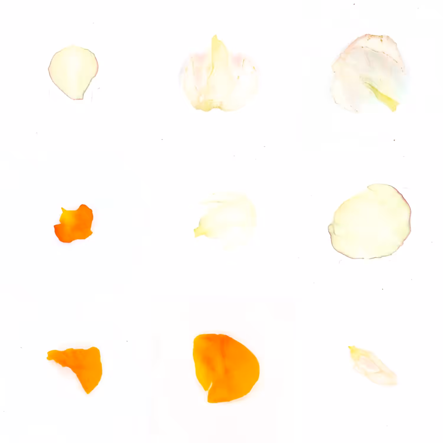 Infinite Petals 3x3#540