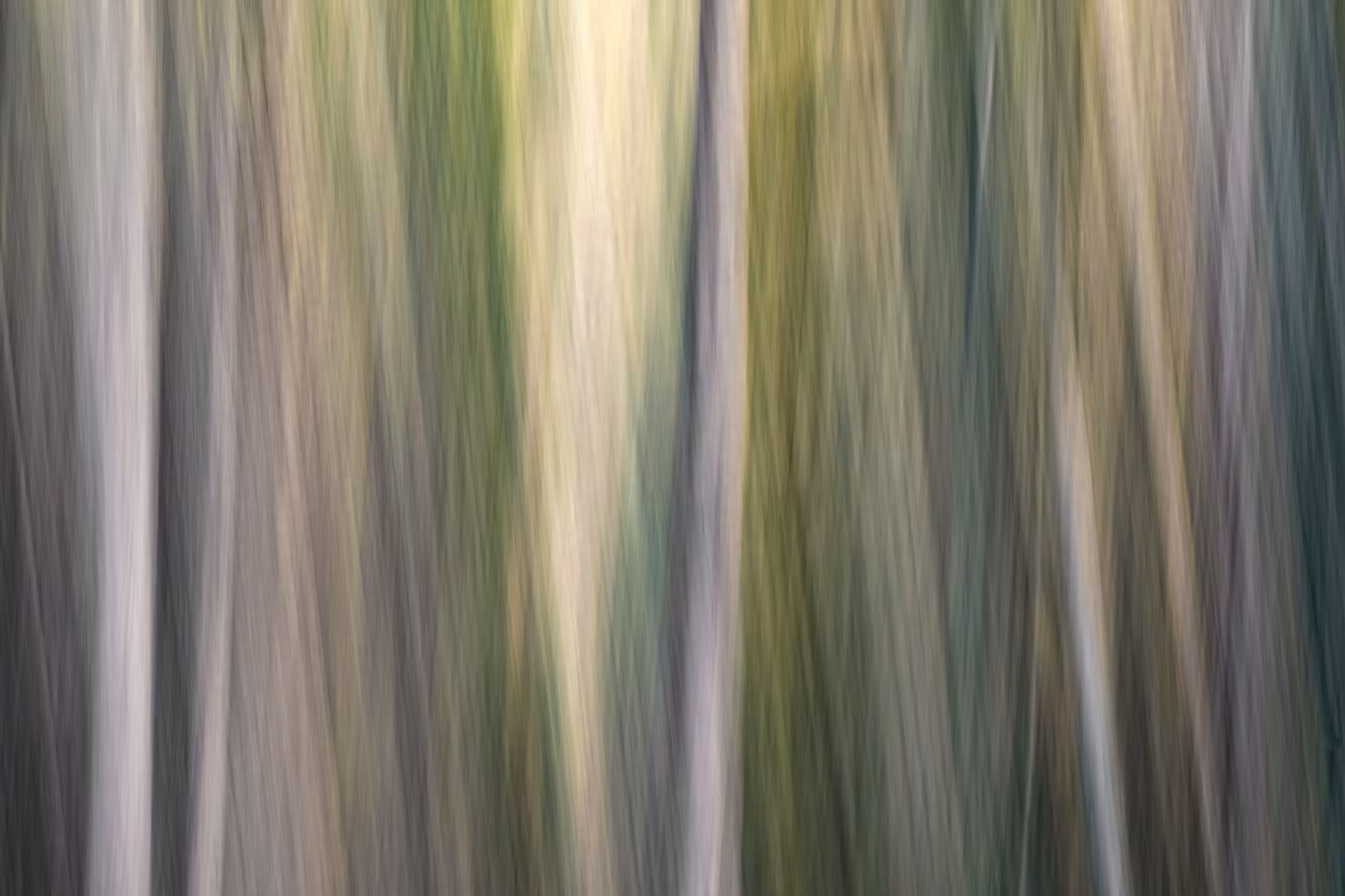 The Ghosts of Elowah #1