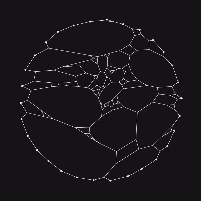 Elastic Web #299
