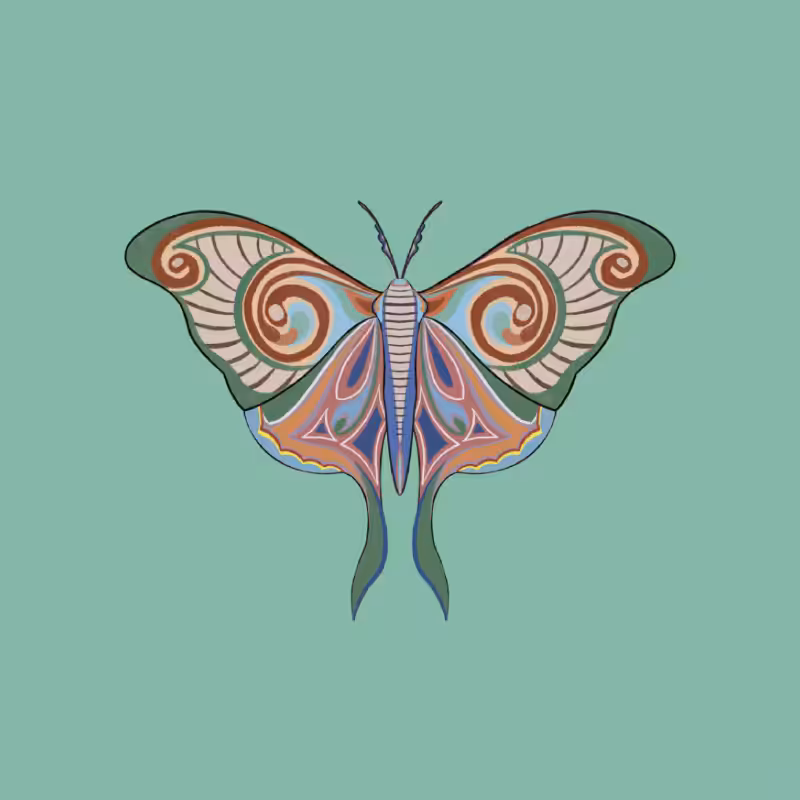 The Moth Experiment 2.0 P1 #6