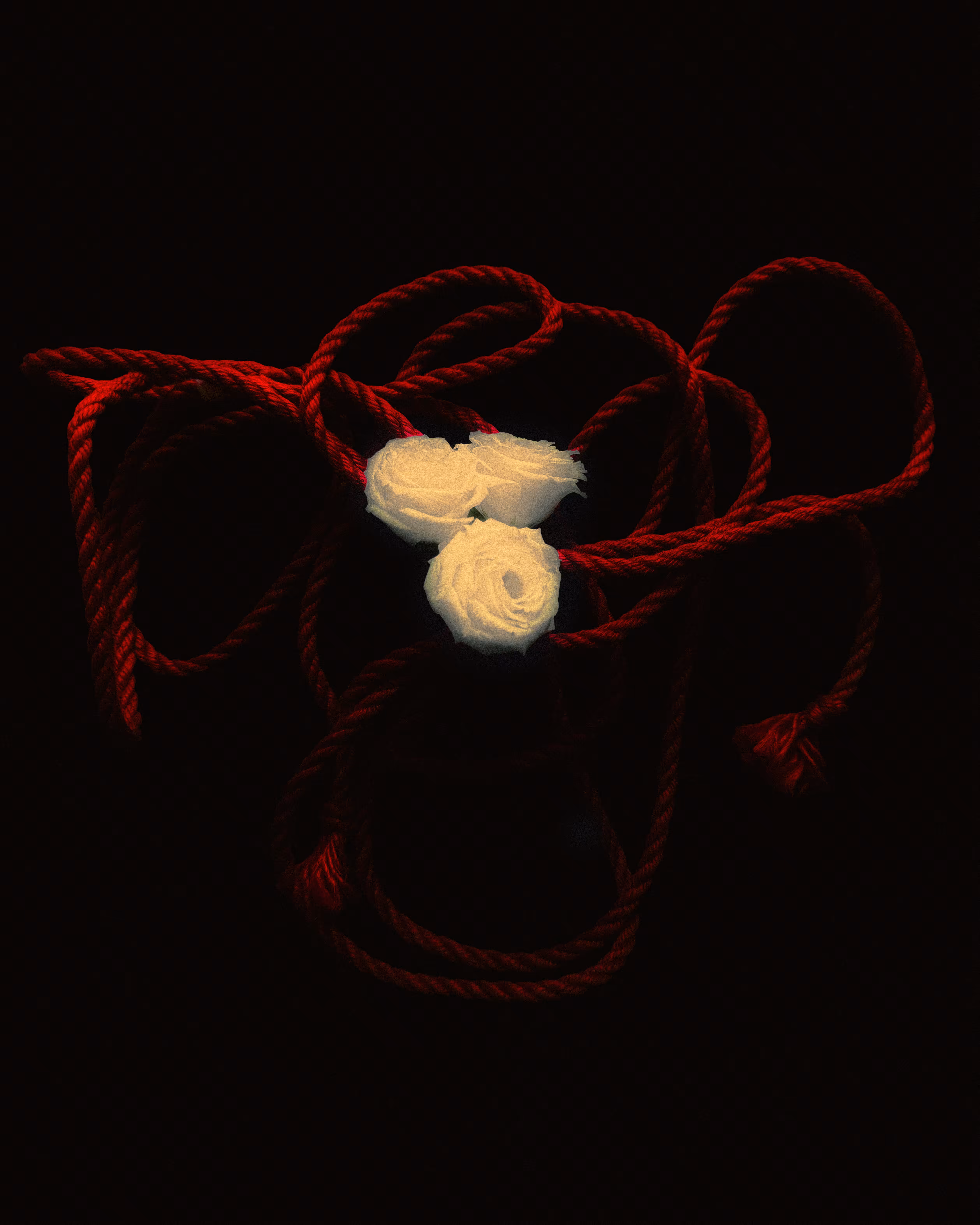 womb