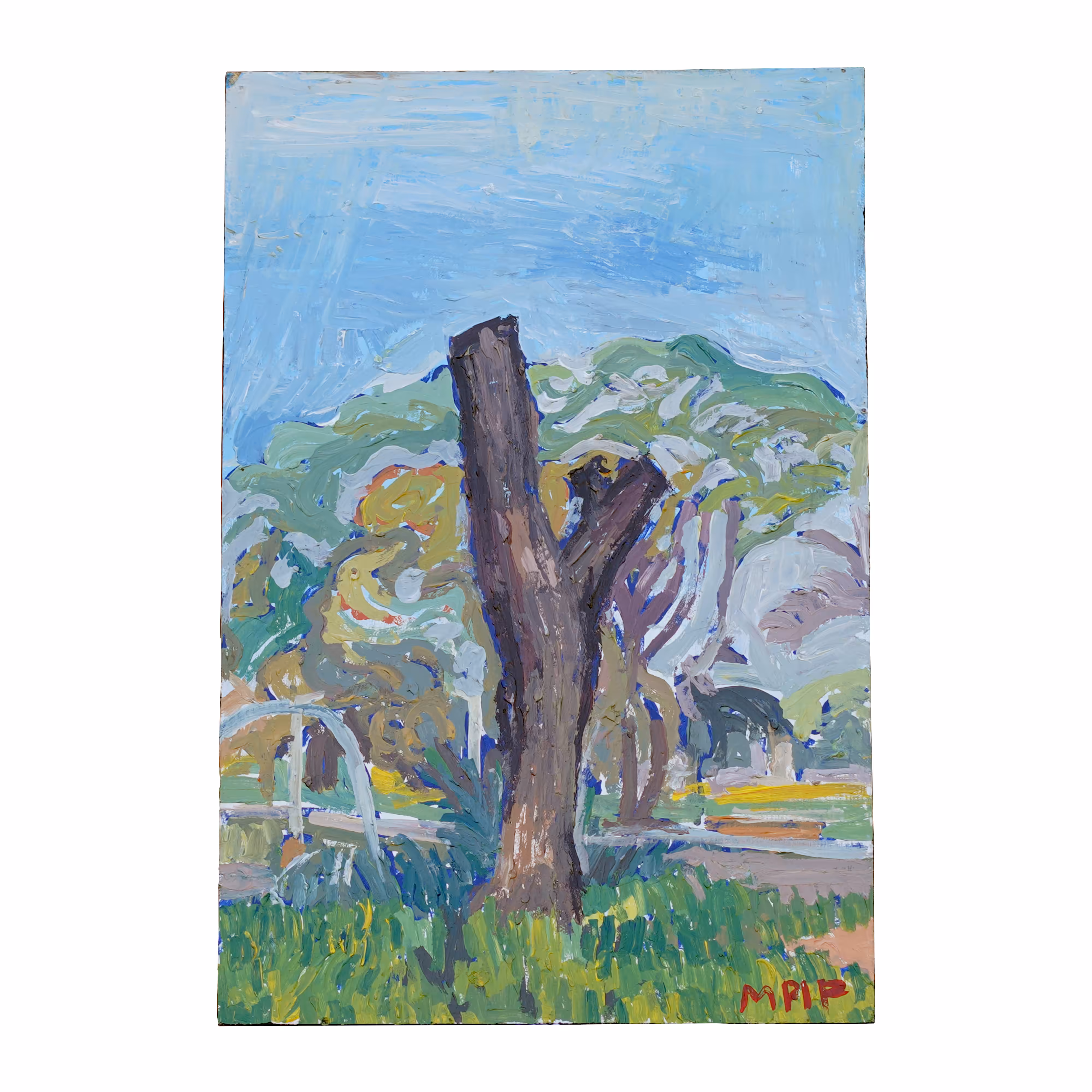 ARBOL PODADO