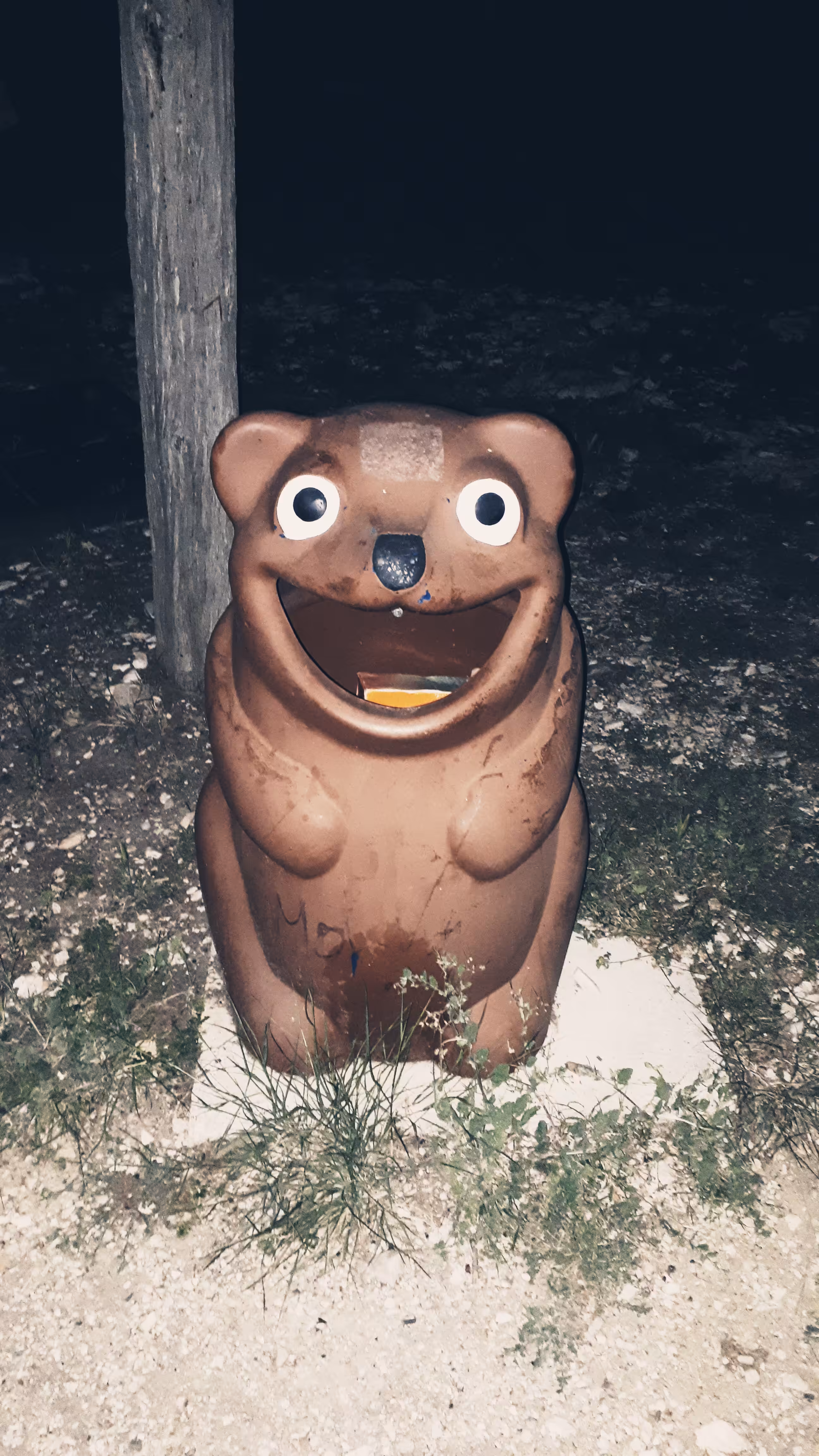 bear
