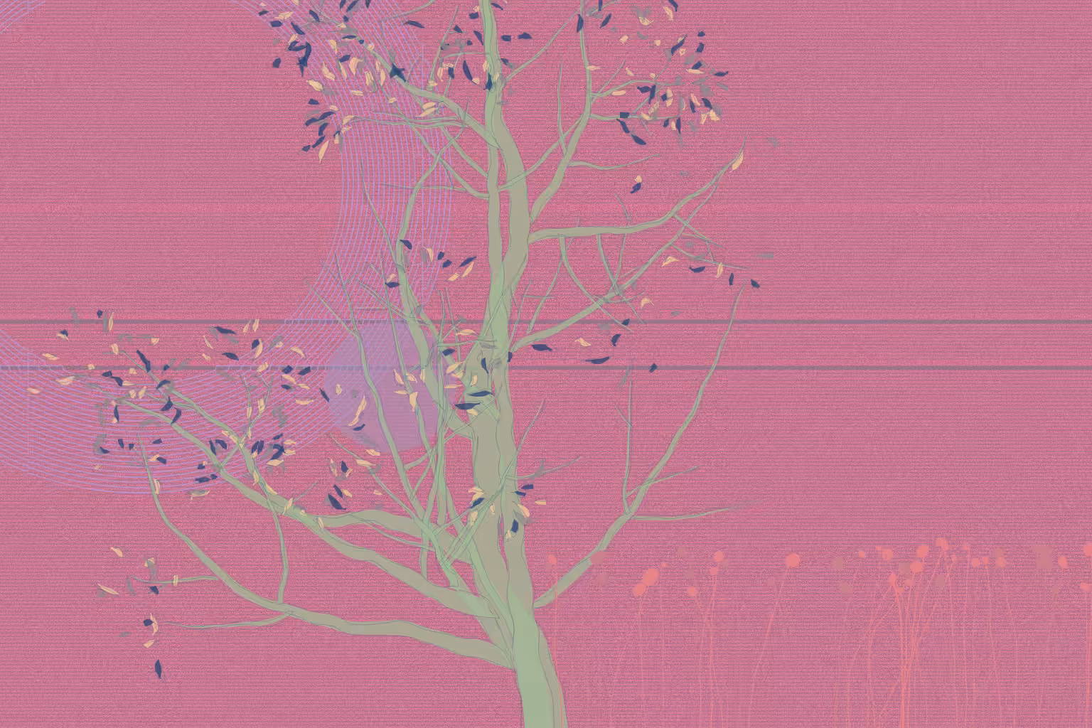 Bidaniel Tree #18