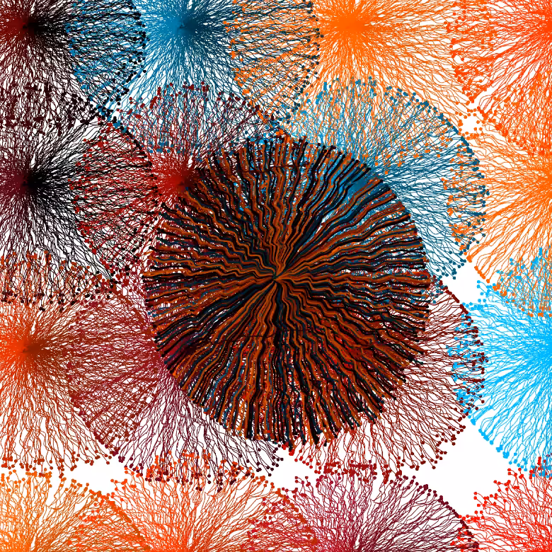 CircuWeb #7