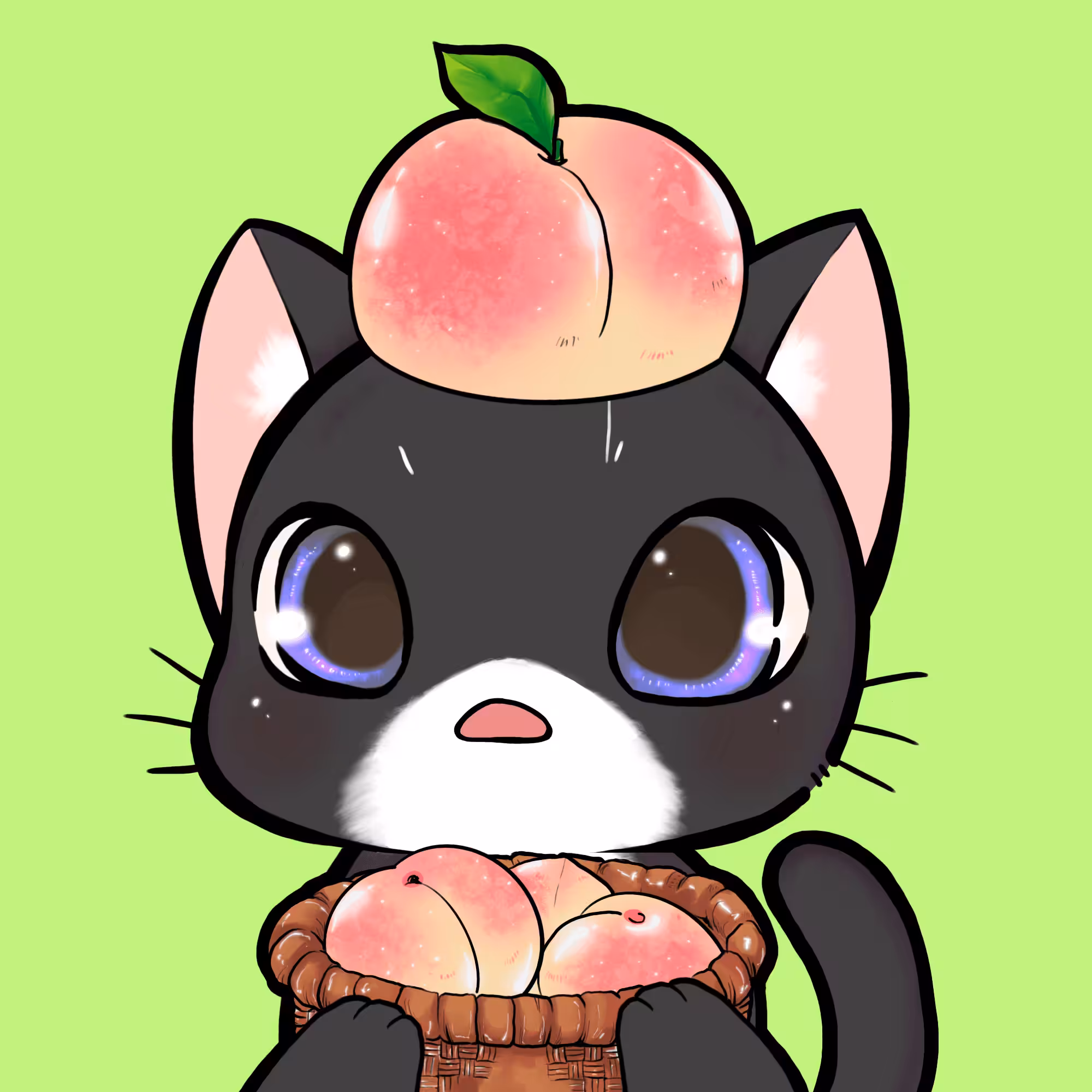 KawaiiCat#0087