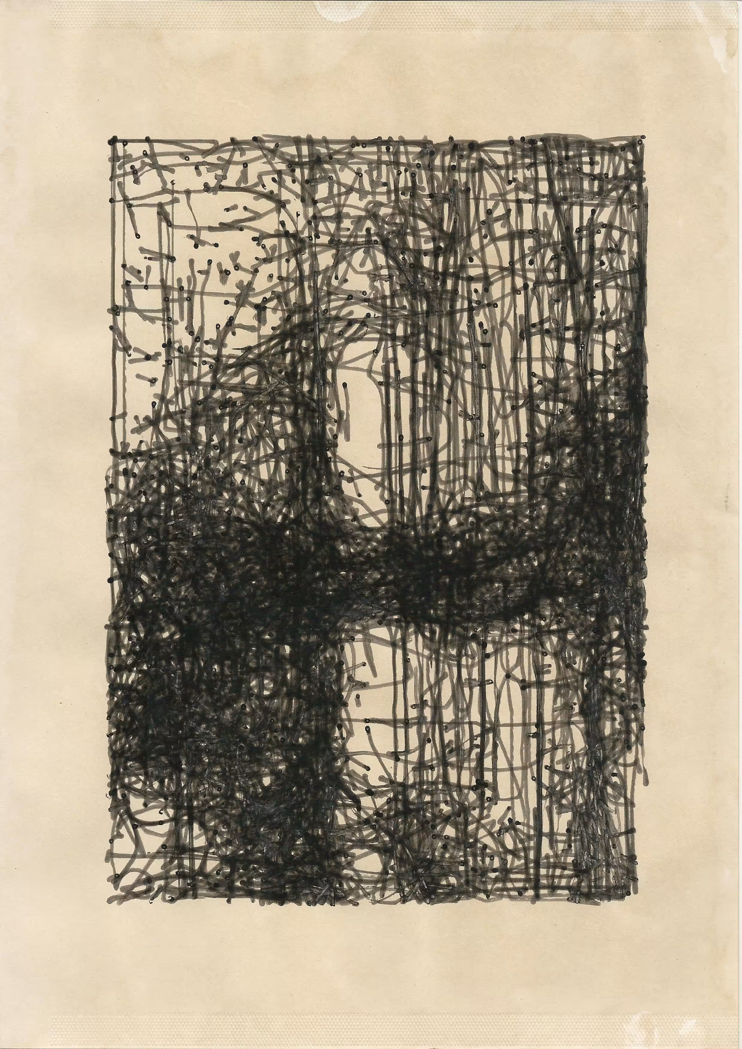 woods