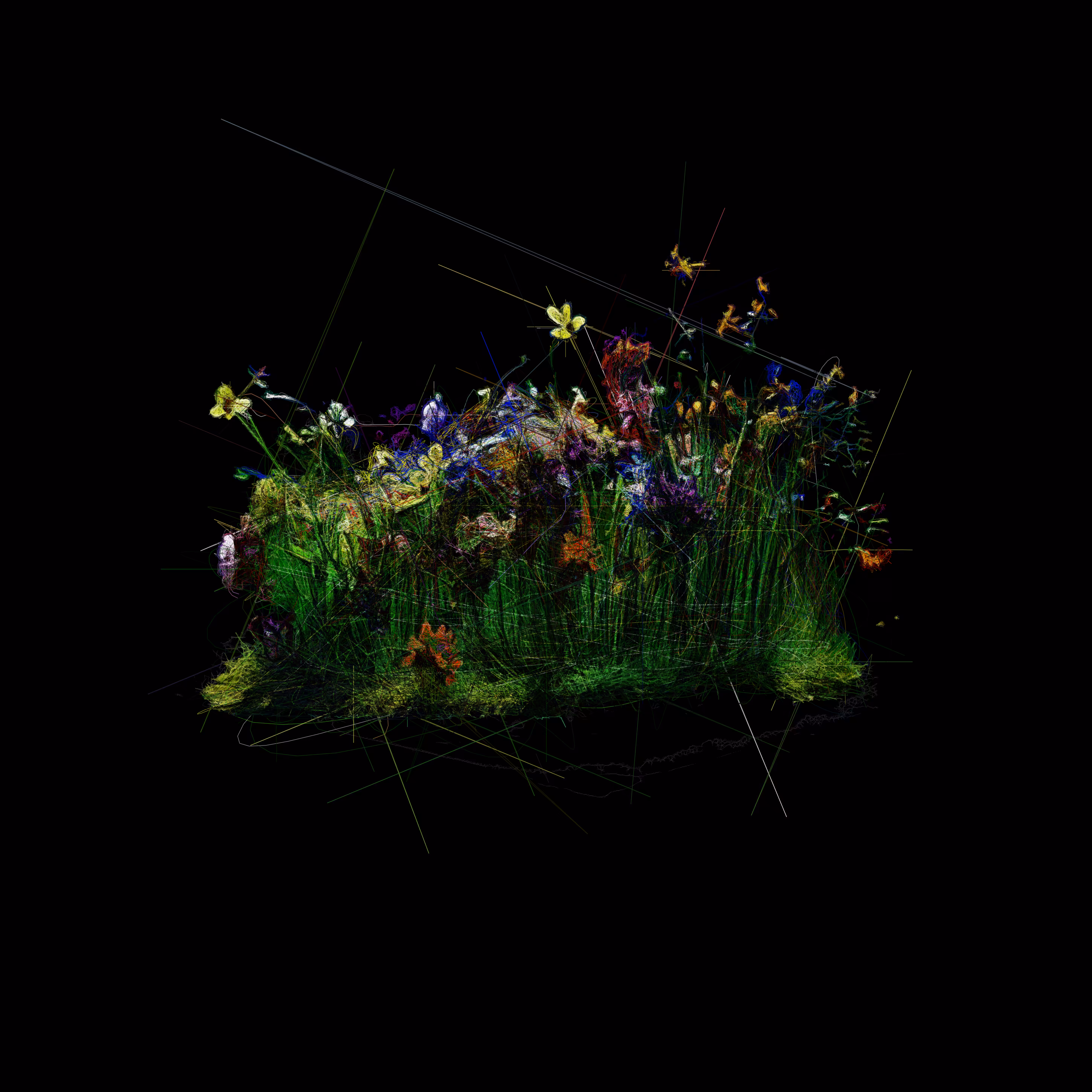 A Small Patch of Grass with Wildflowers