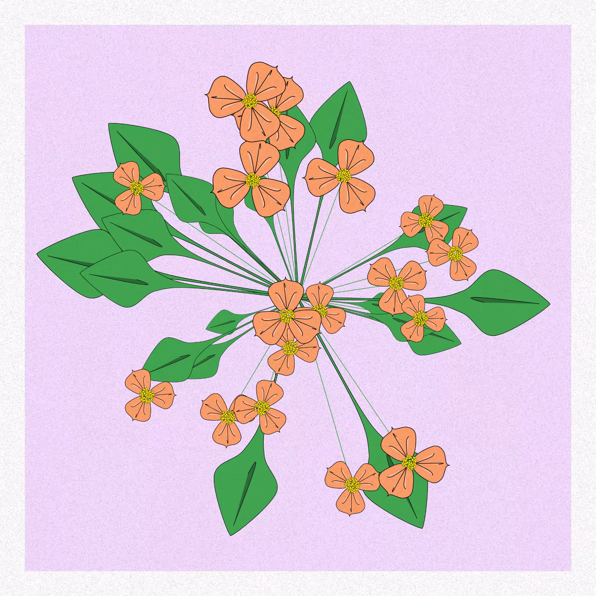 Flowers #225