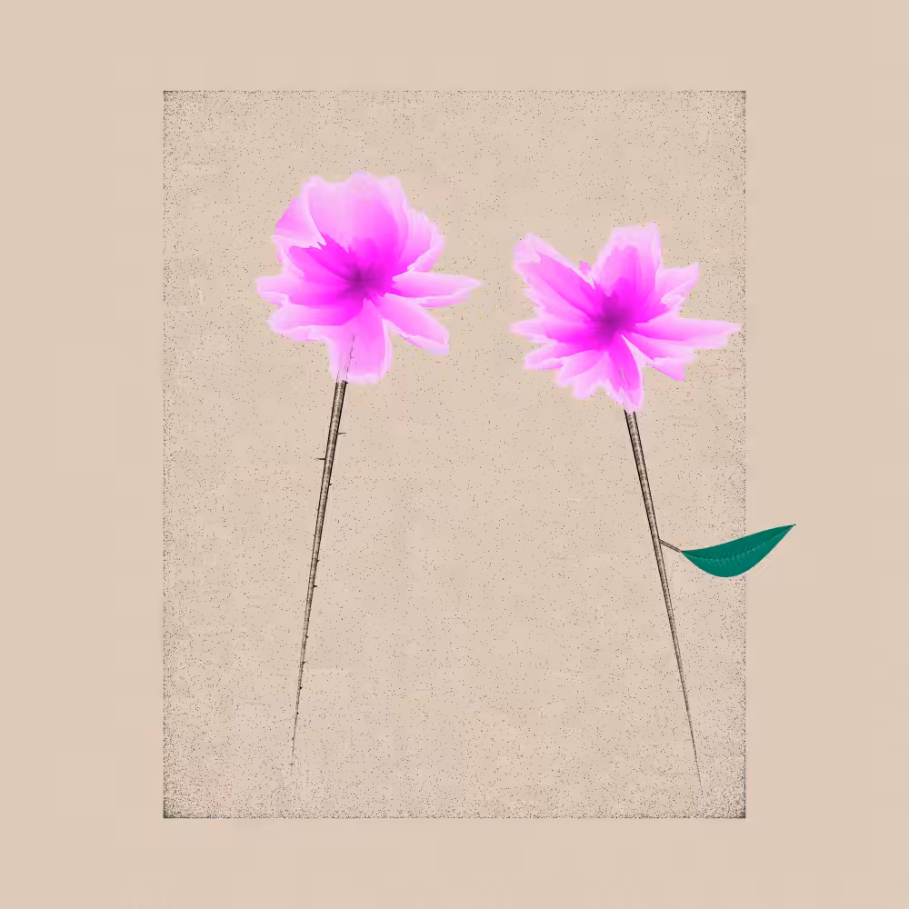 Magnolia #72