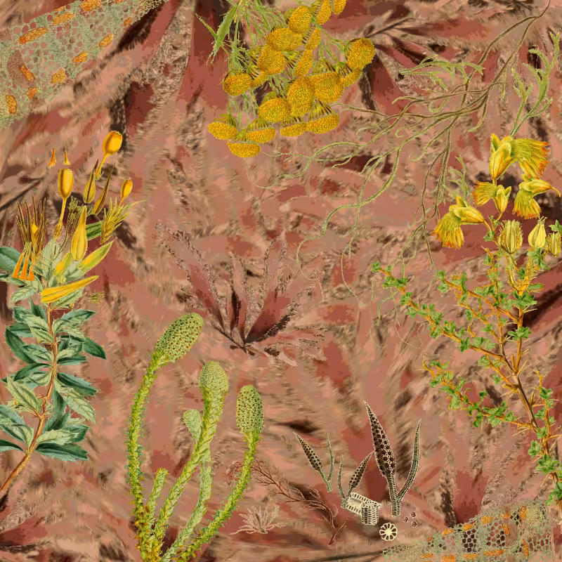 future flora from Antarctica's past #62