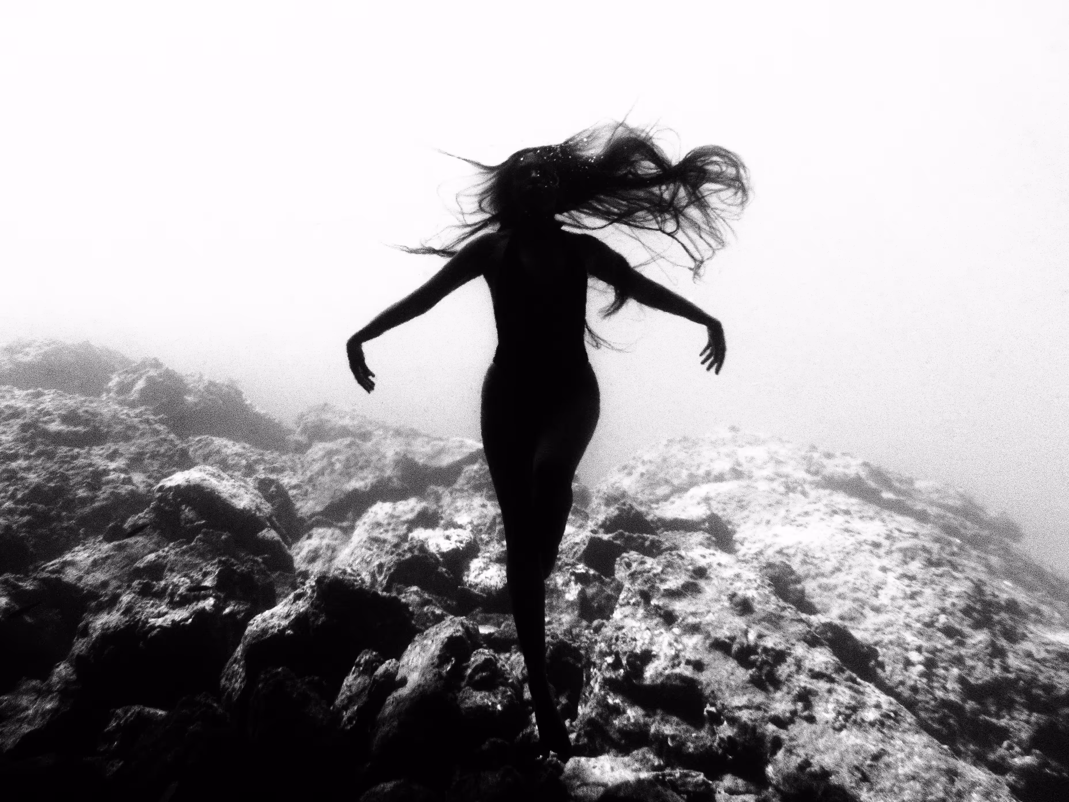 The Siren's Metamorphosis