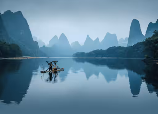 The Master and the Cormorants IV