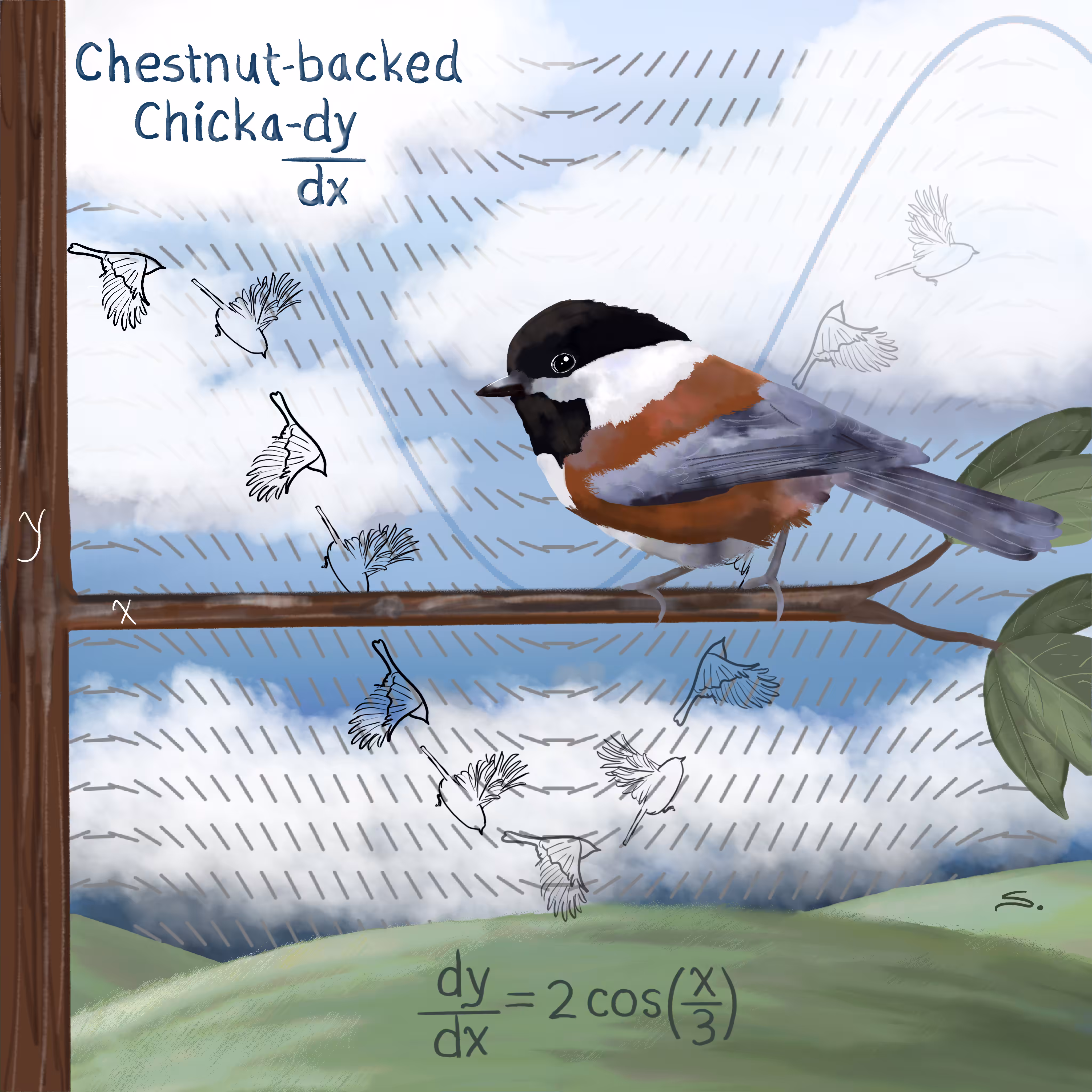 Chestnut-backed Chicka-dy/dx