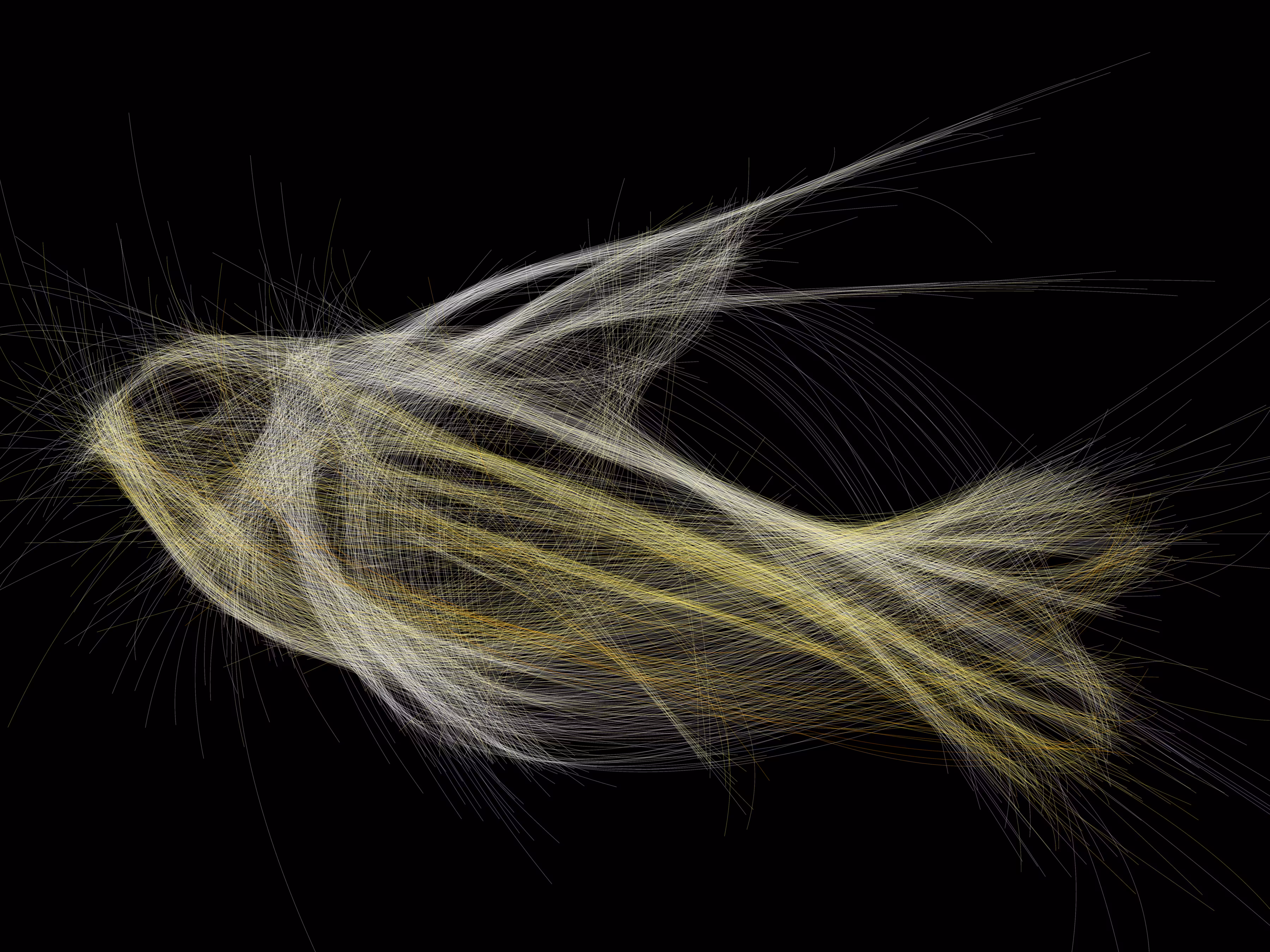 Underwater 347