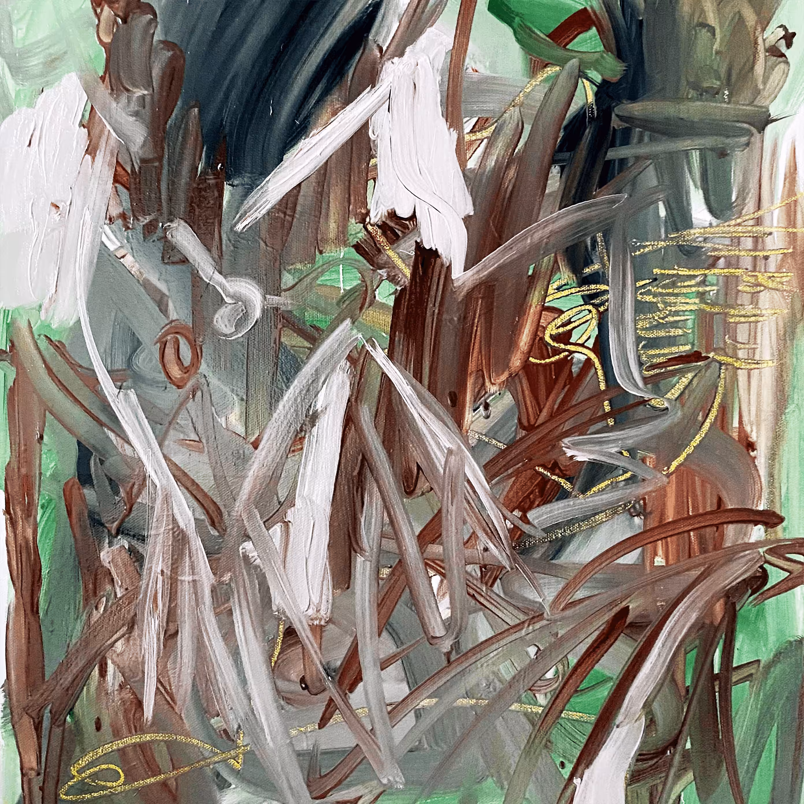 birds dancing in the jungle