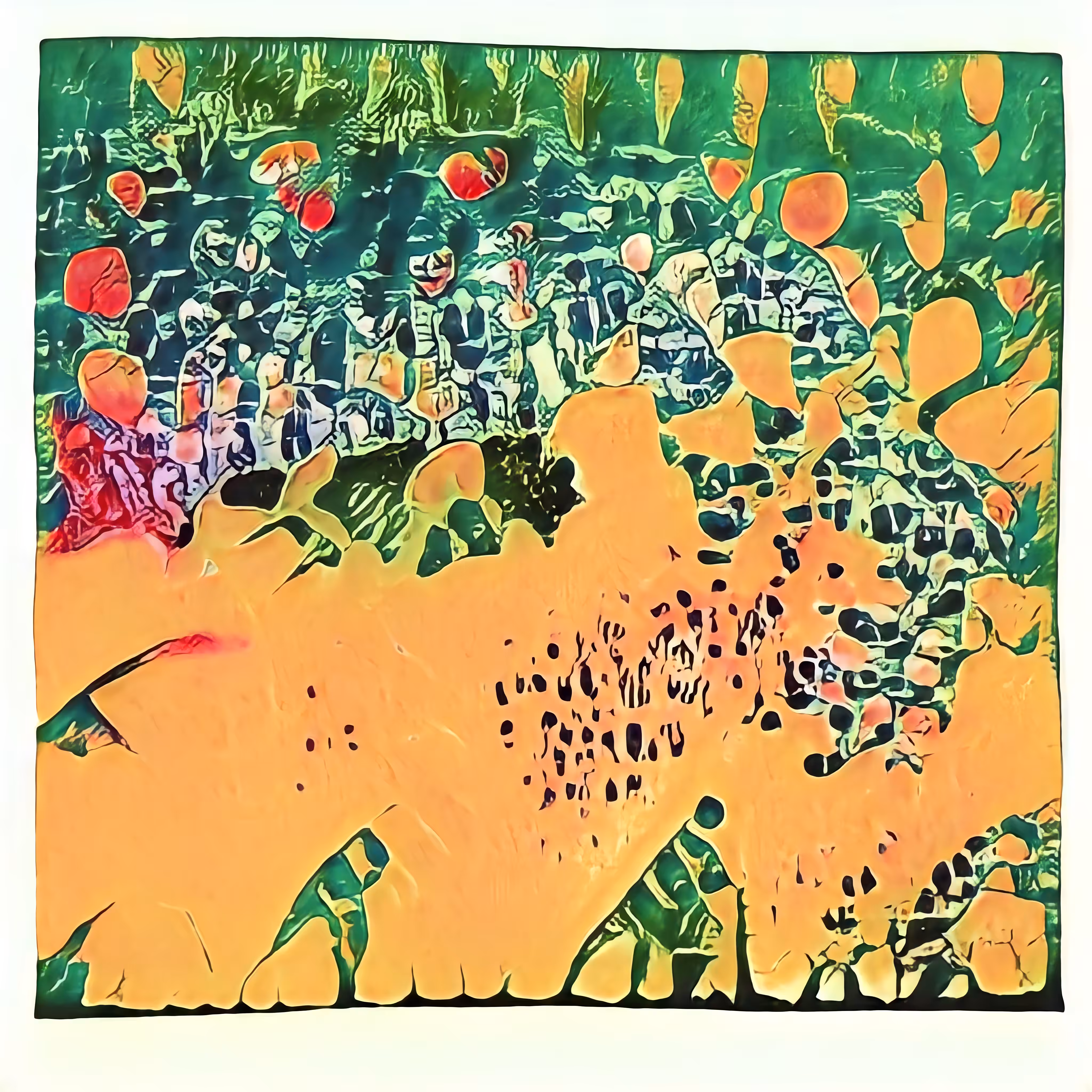 A Polaroid of Consciousness