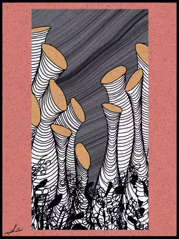Play with lines #zentangle #49