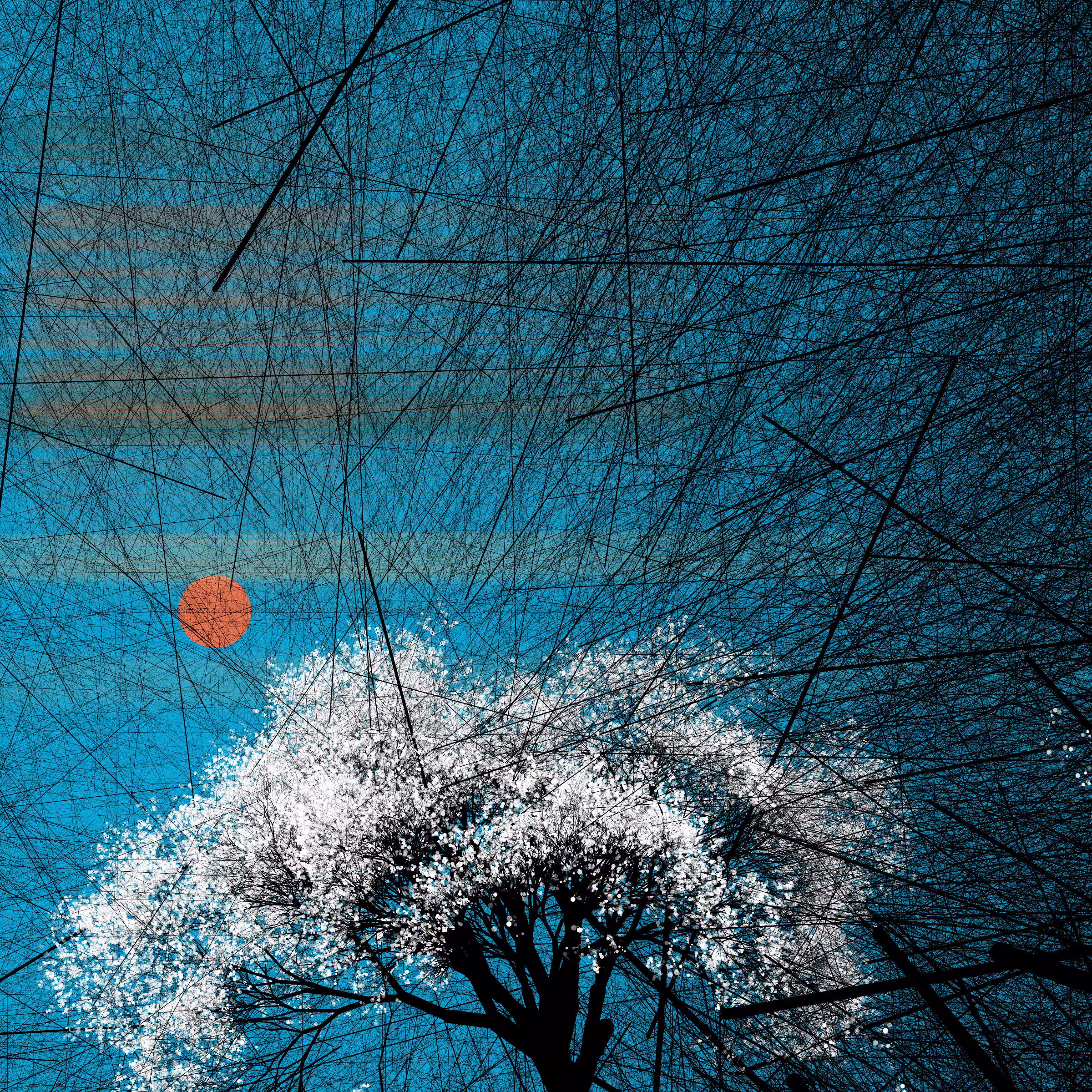 conversation with the wind #119
