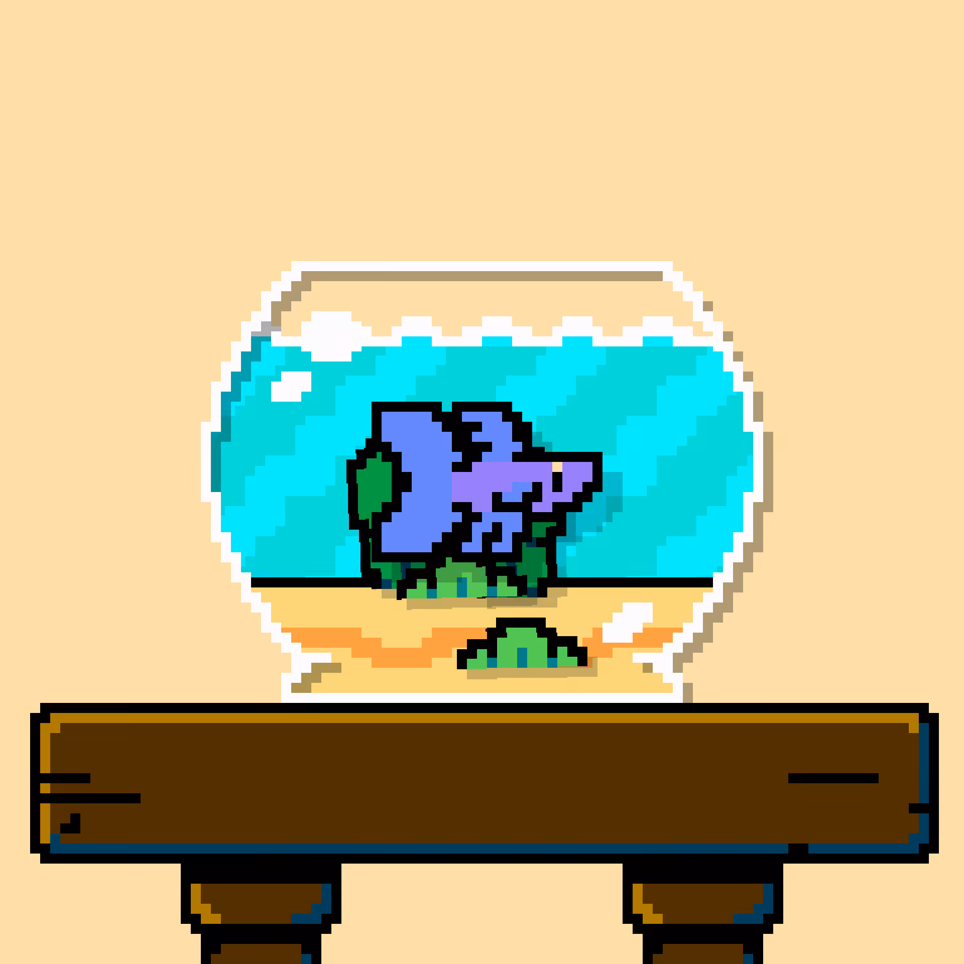 betta fish #317