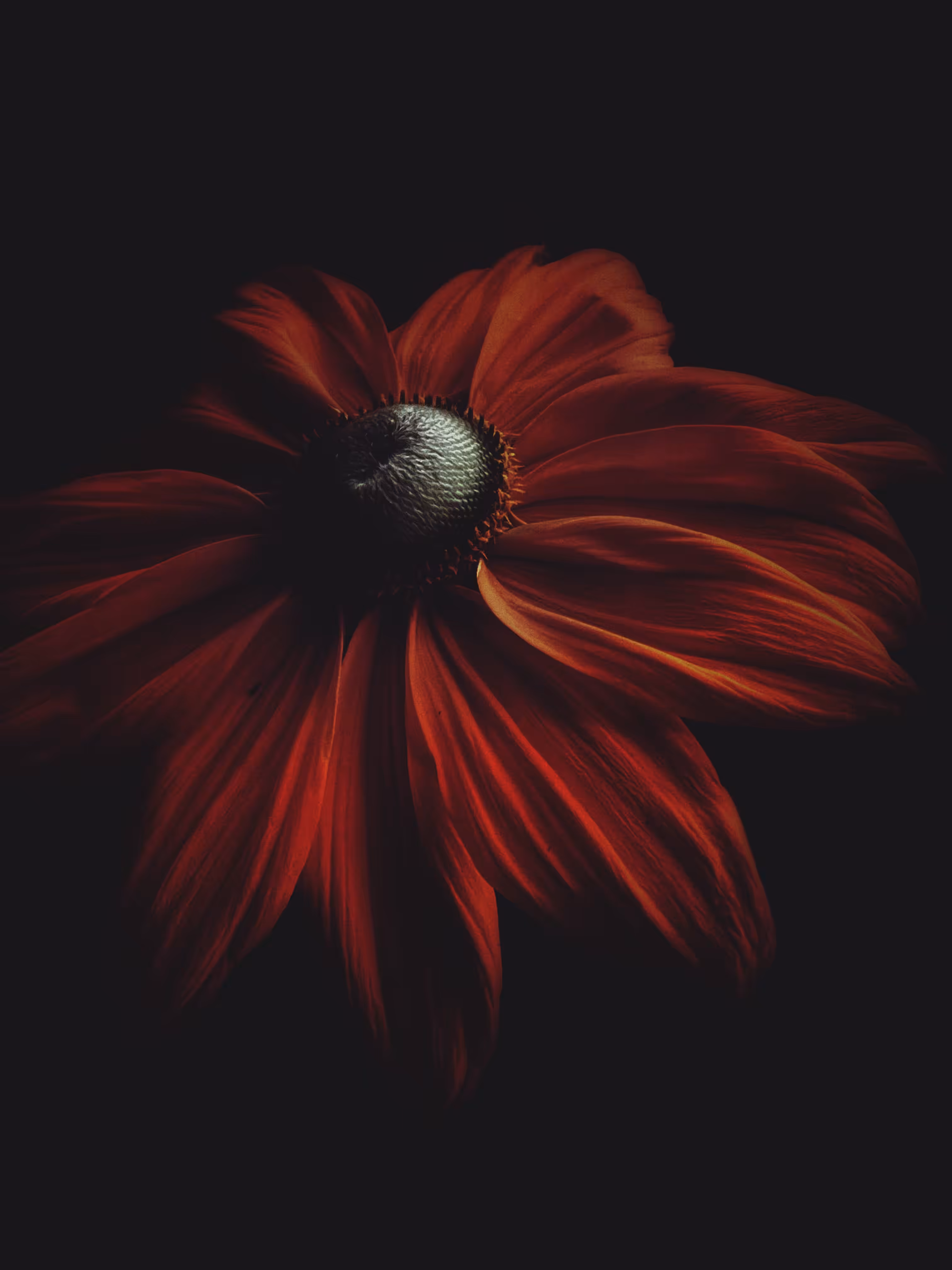 Dark Gold