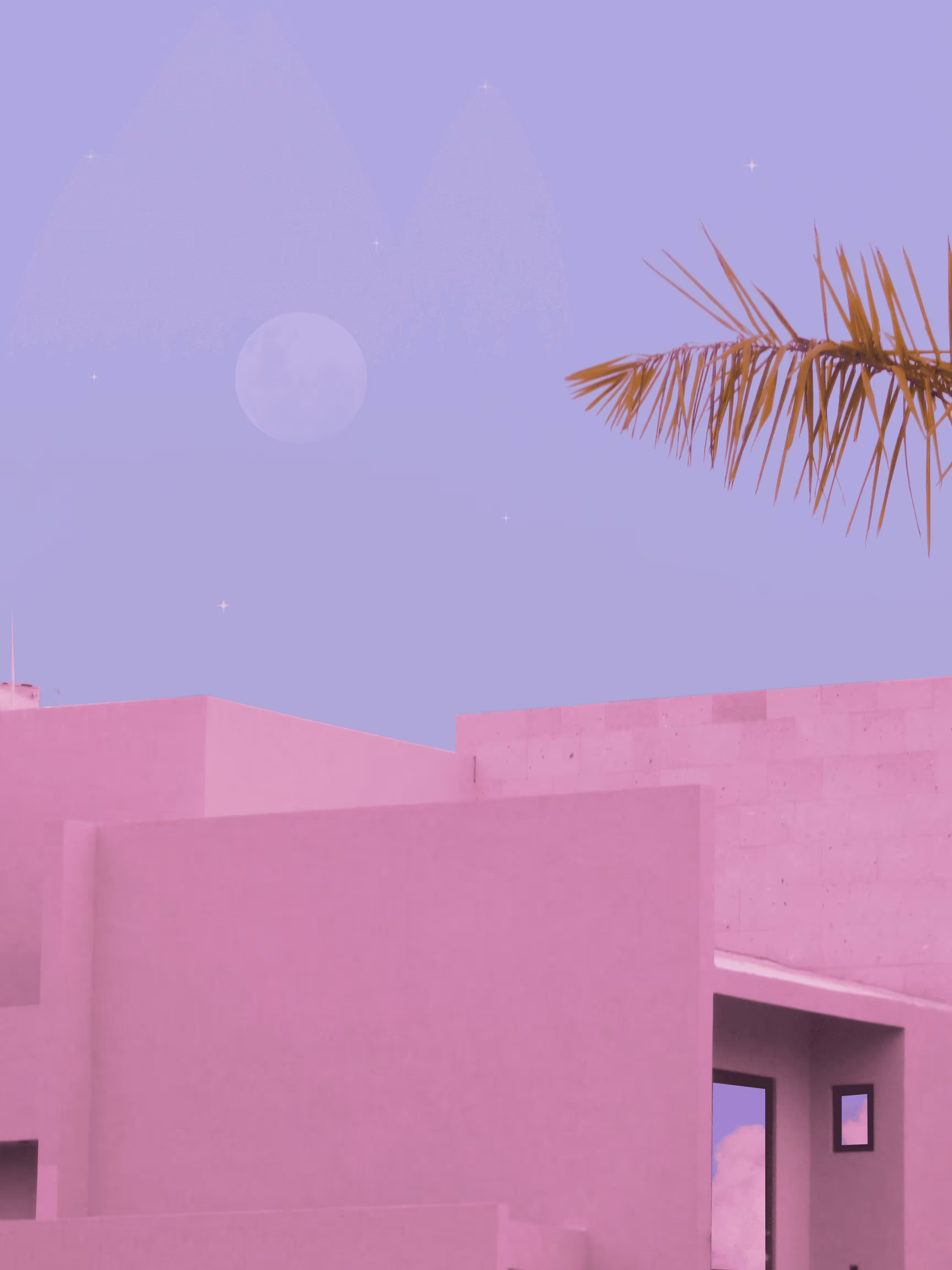 Pink & Purple World #73