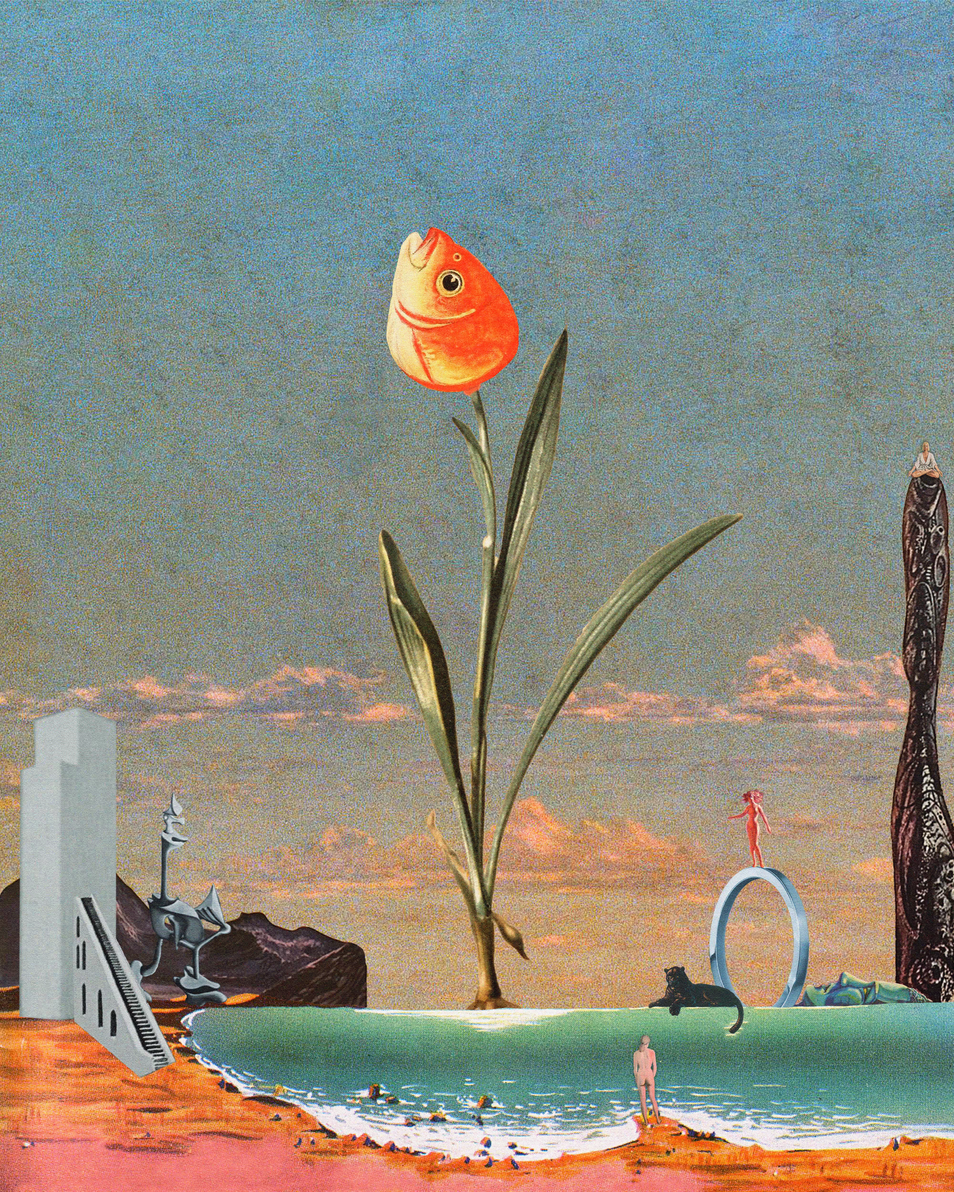 Contemplation (Fishflower)