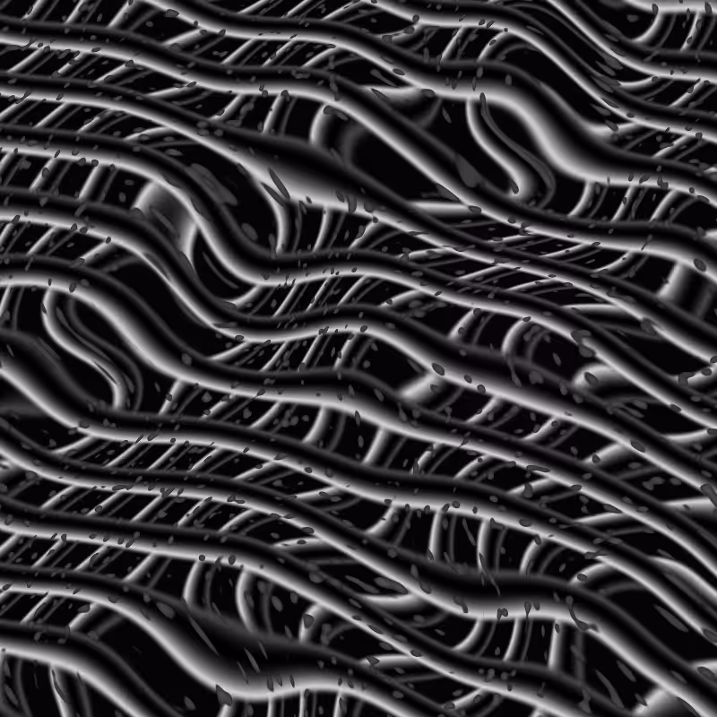 Nucleotide Polymorphism #15